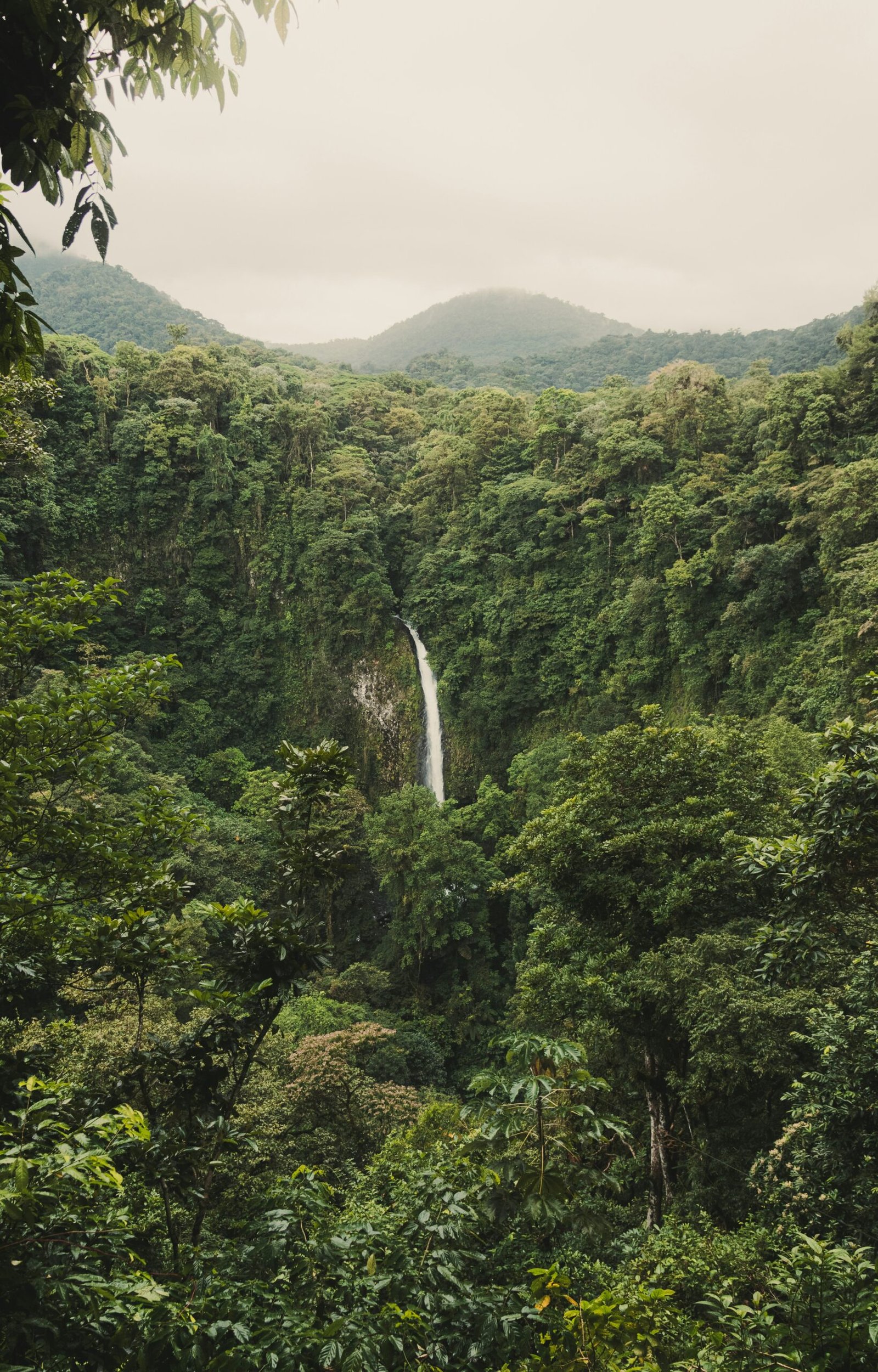 Waterfall surrounded by lush forest in La Fortuna, Costa Rica