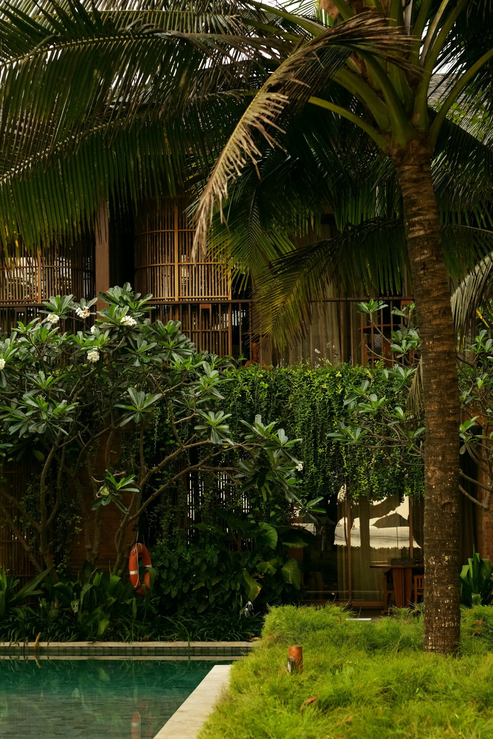 Quiet pool surrounded by lush forest at a peaceful wellness retreat designed for rest, renewal, and detox escape