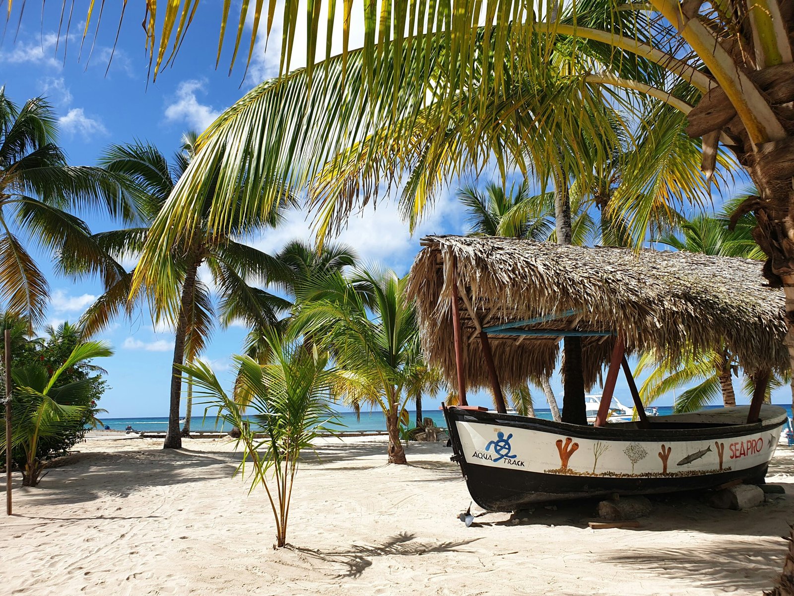 Boat resting on a tropical beach with palm trees on Saona Island, capturing a peaceful retreat escape in the Caribbean.
