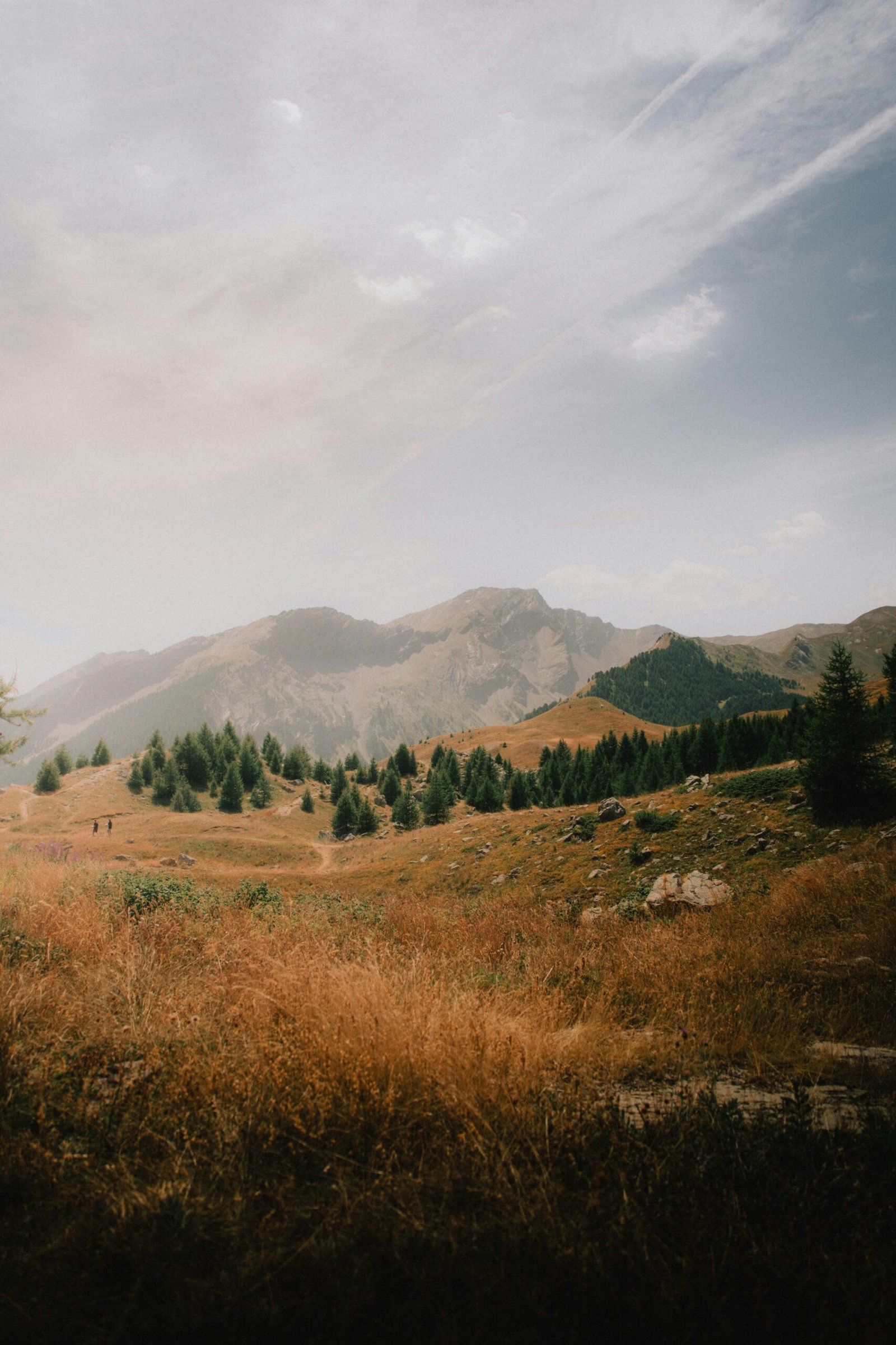Sunlit meadow and mountain views in Chamonix for an alpine France yoga retreat with fresh August energy.