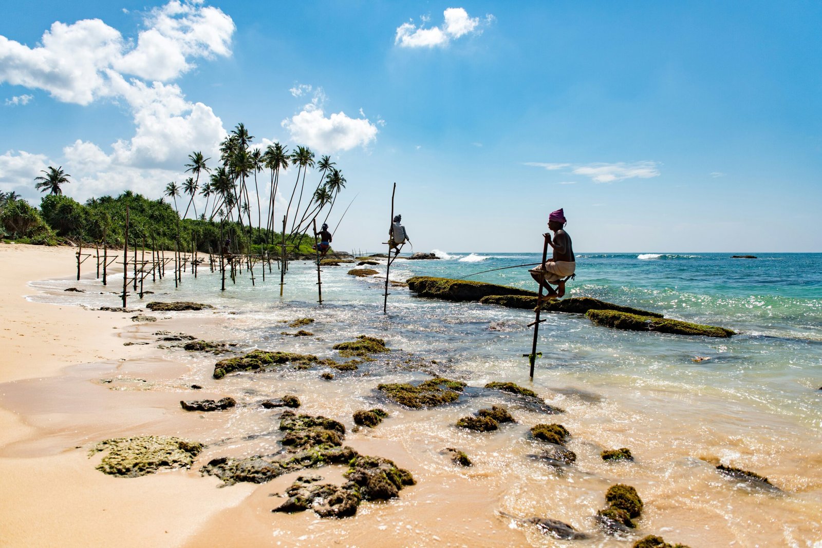 Traditional stilt fishermen at Mirissa Beach in Sri Lanka, bringing a grounded coastal rhythm to a seaside yoga retreat experience.