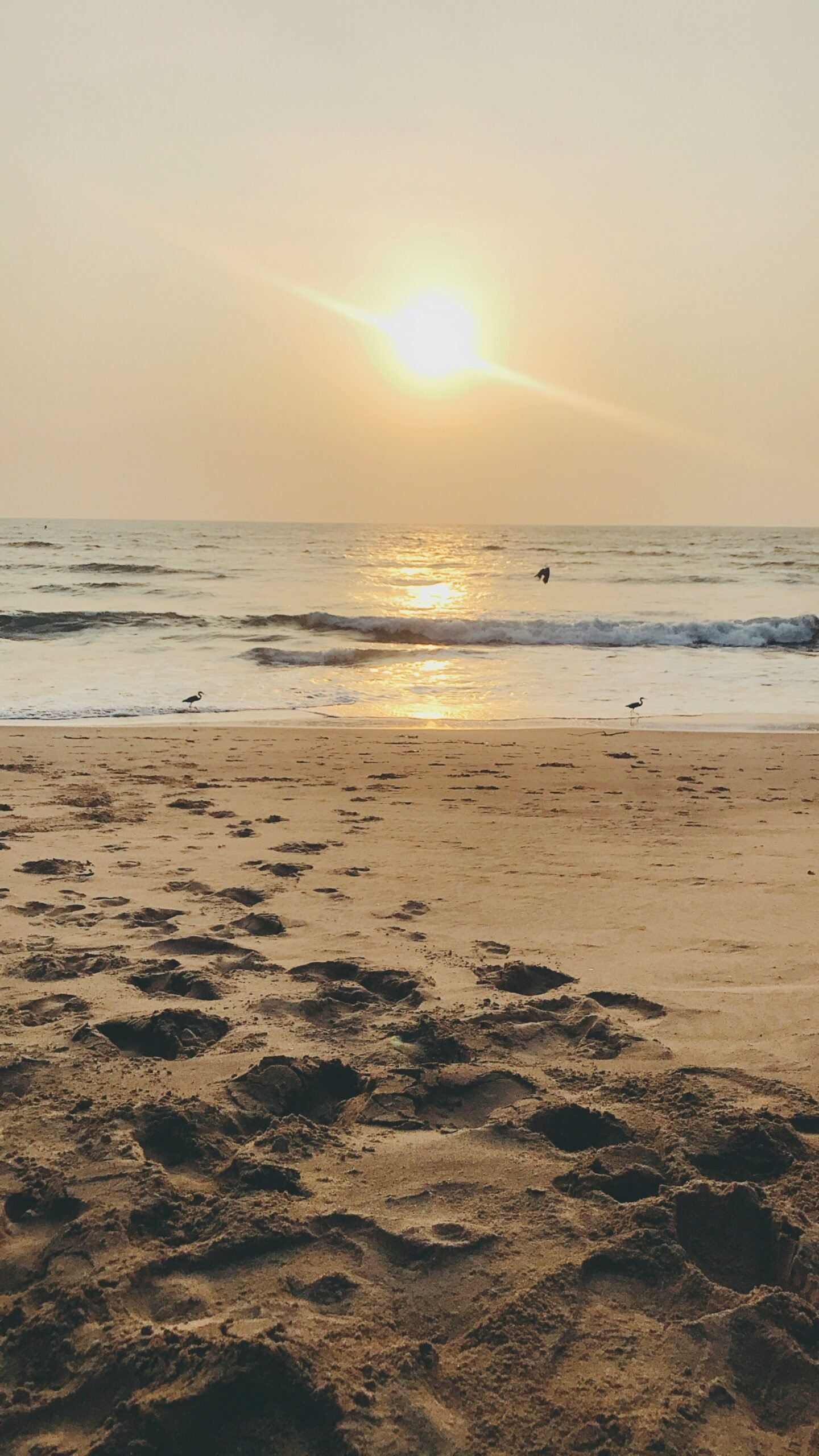 Sunrise over Querim Beach in Goa, reflecting the fresh-start energy of a January yoga retreat on India’s coast.