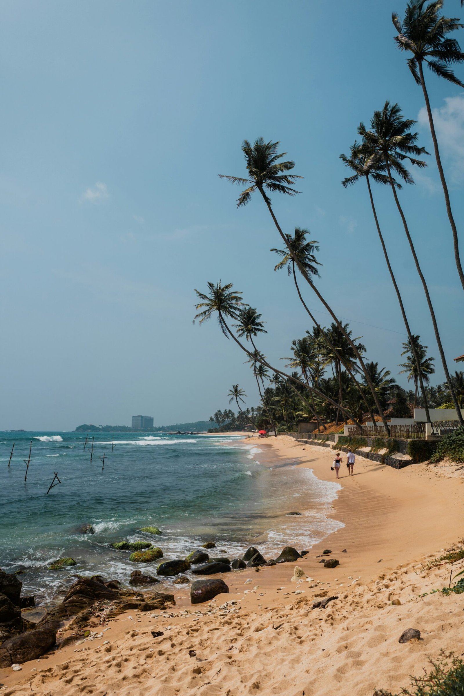 Palm-lined beach in Unawatuna, Sri Lanka, matching the renewed coastal energy of a November yoga retreat.