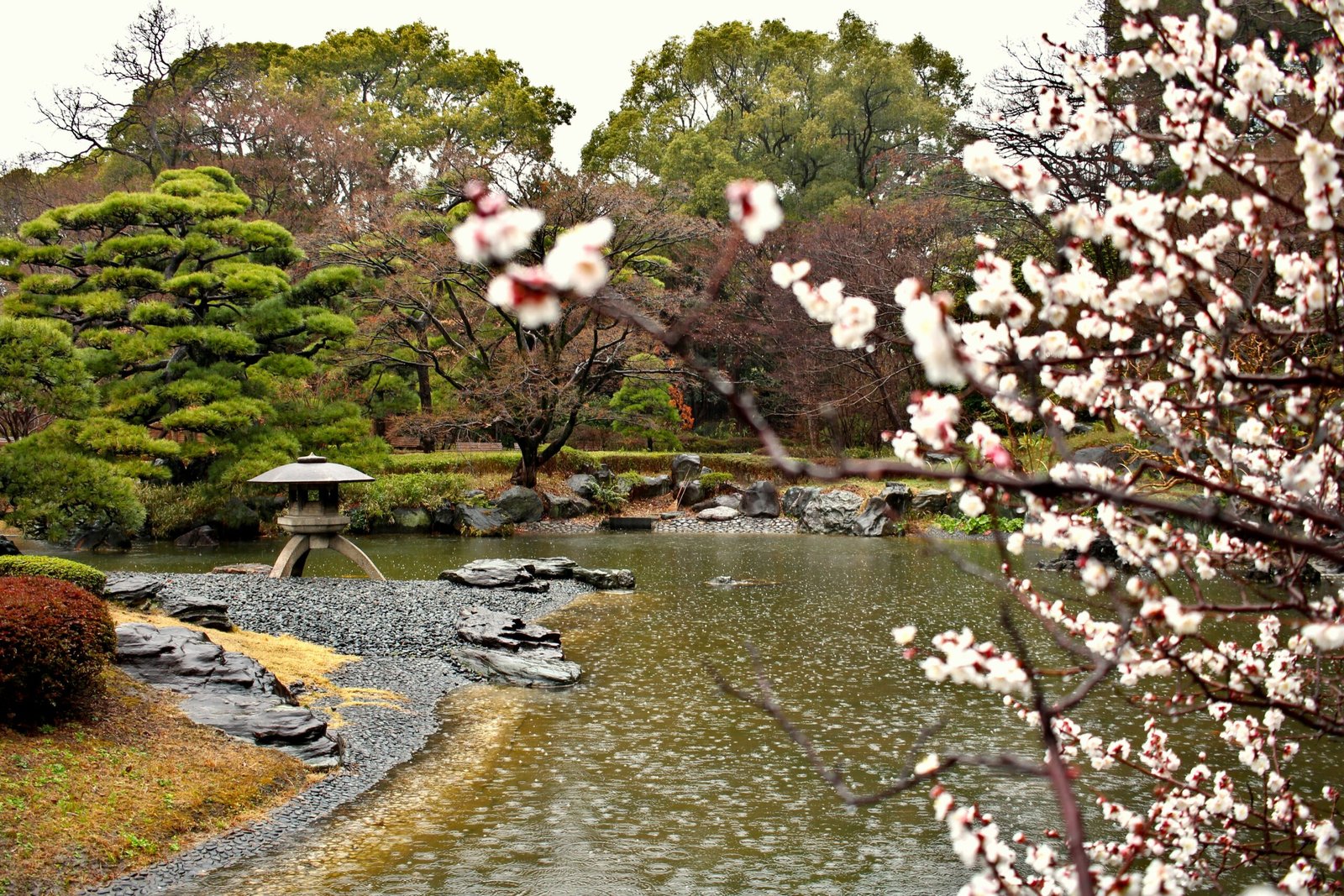 Peaceful spring garden with blossoms and water for a reflective retreat atmosphere and seasonal renewal