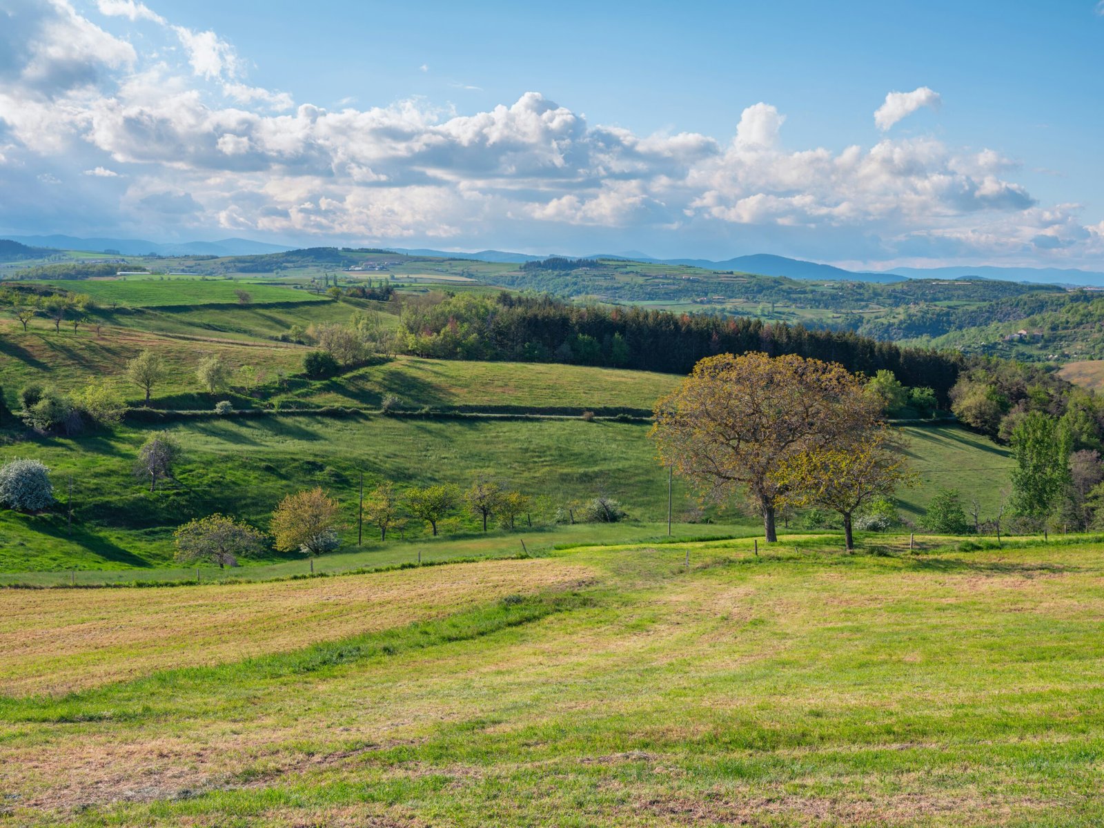 Peaceful spring countryside in rural France, matching the grounded and spacious feel of an April yoga retreat.
