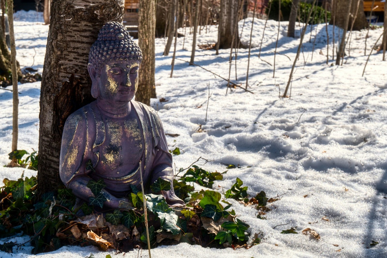 yoga in winter, buddah statue in the snow