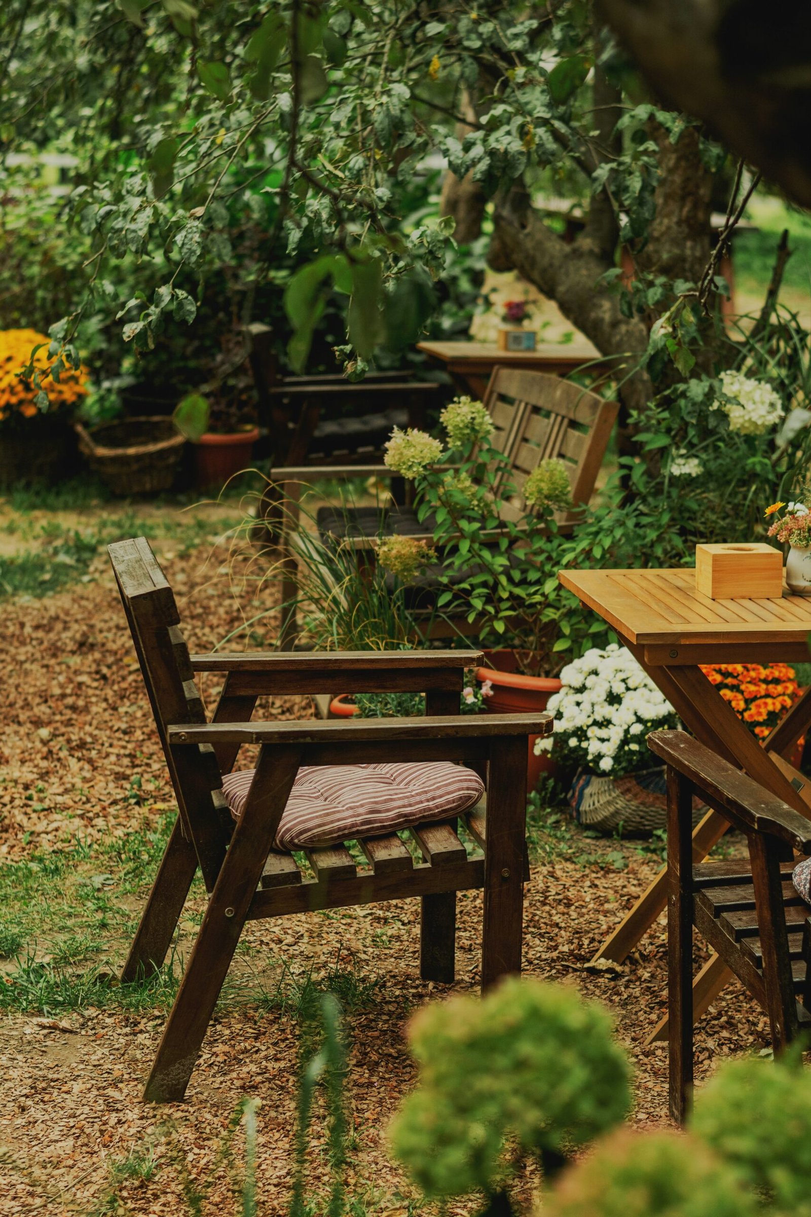 Wooden chairs and table in a lush garden, creating a peaceful outdoor retreat space for rest and reflection.