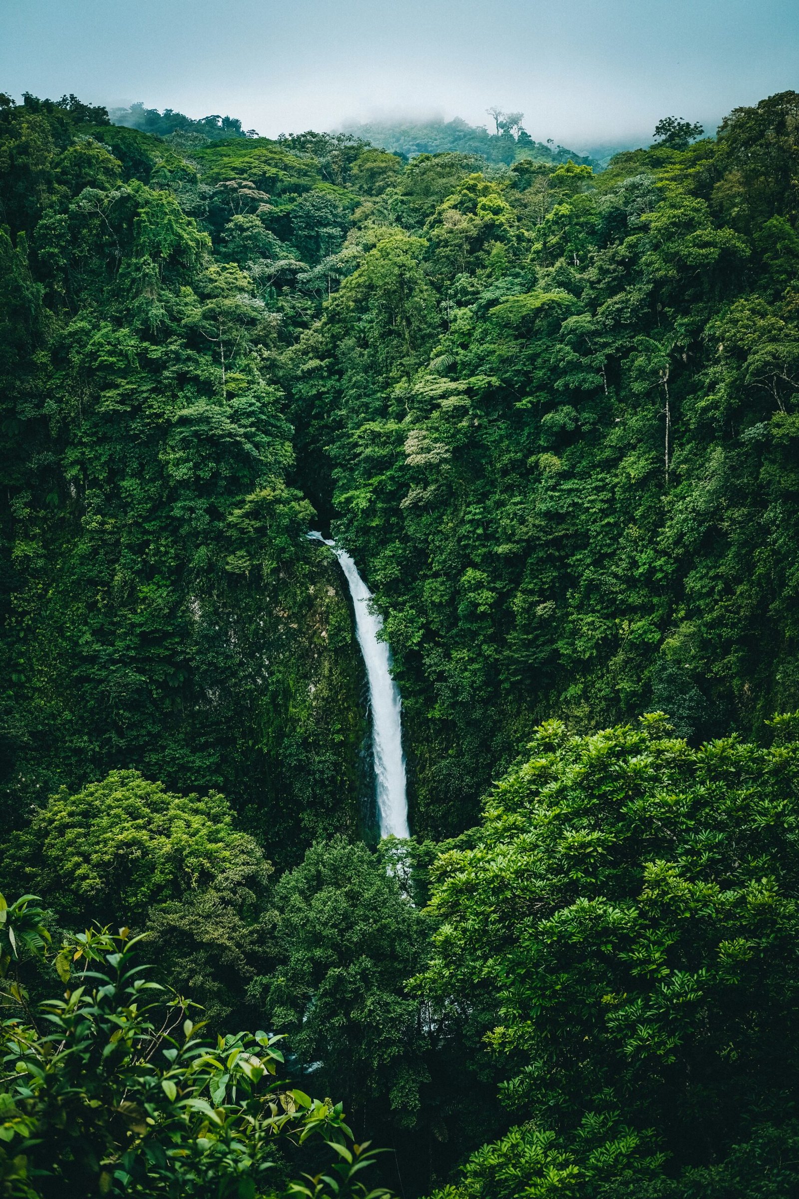 La Fortuna Waterfall cascading through thick tropical forest in Costa Rica.