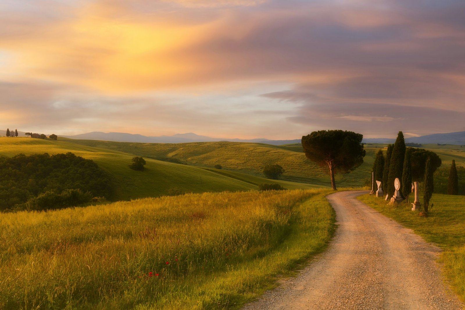 tuscany, italy, in august