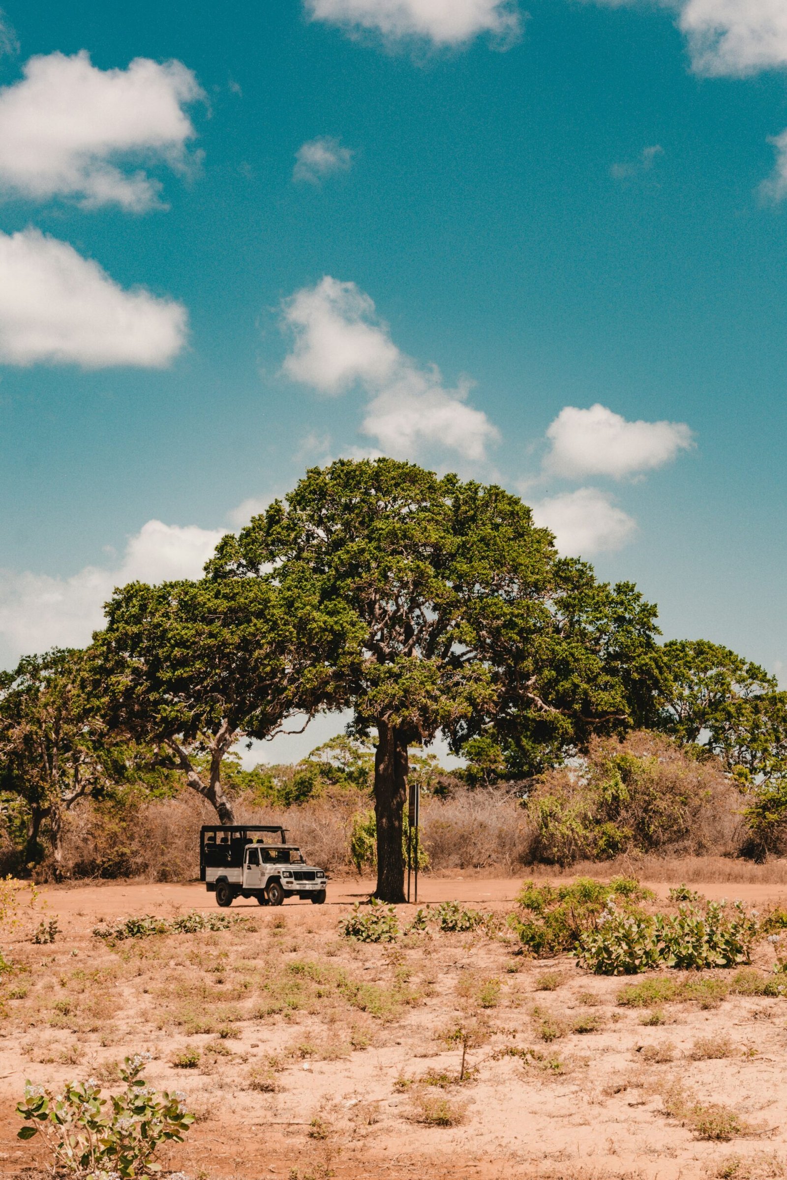 Safari jeep in Yala National Park, Sri Lanka, adding a grounded nature and wildlife element to a retreat journey.