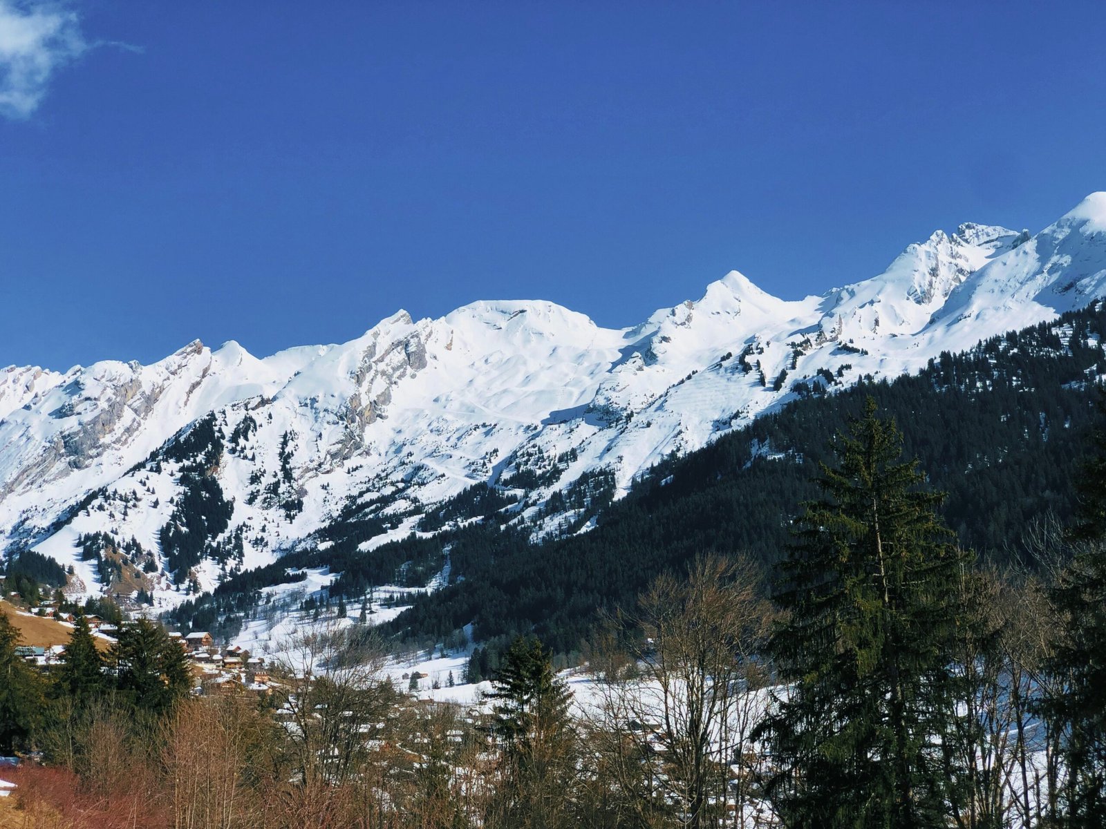 Snowy mountain and forest views in Alpes-de-Haute-Provence, matching the peaceful mood of a February yoga retreat in France.