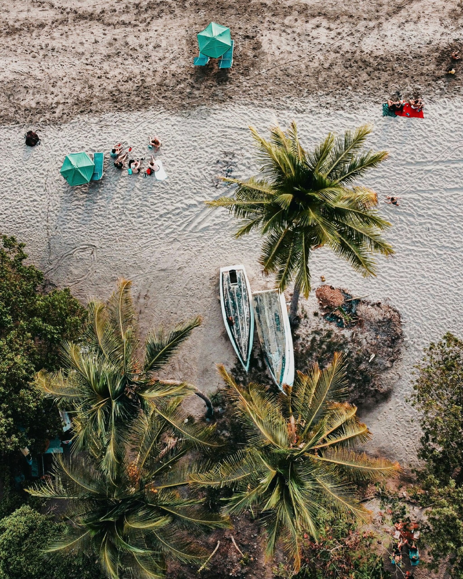 Drone view of Nosara, Costa Rica, with white sand beach edged by palm trees and tropical coastline.