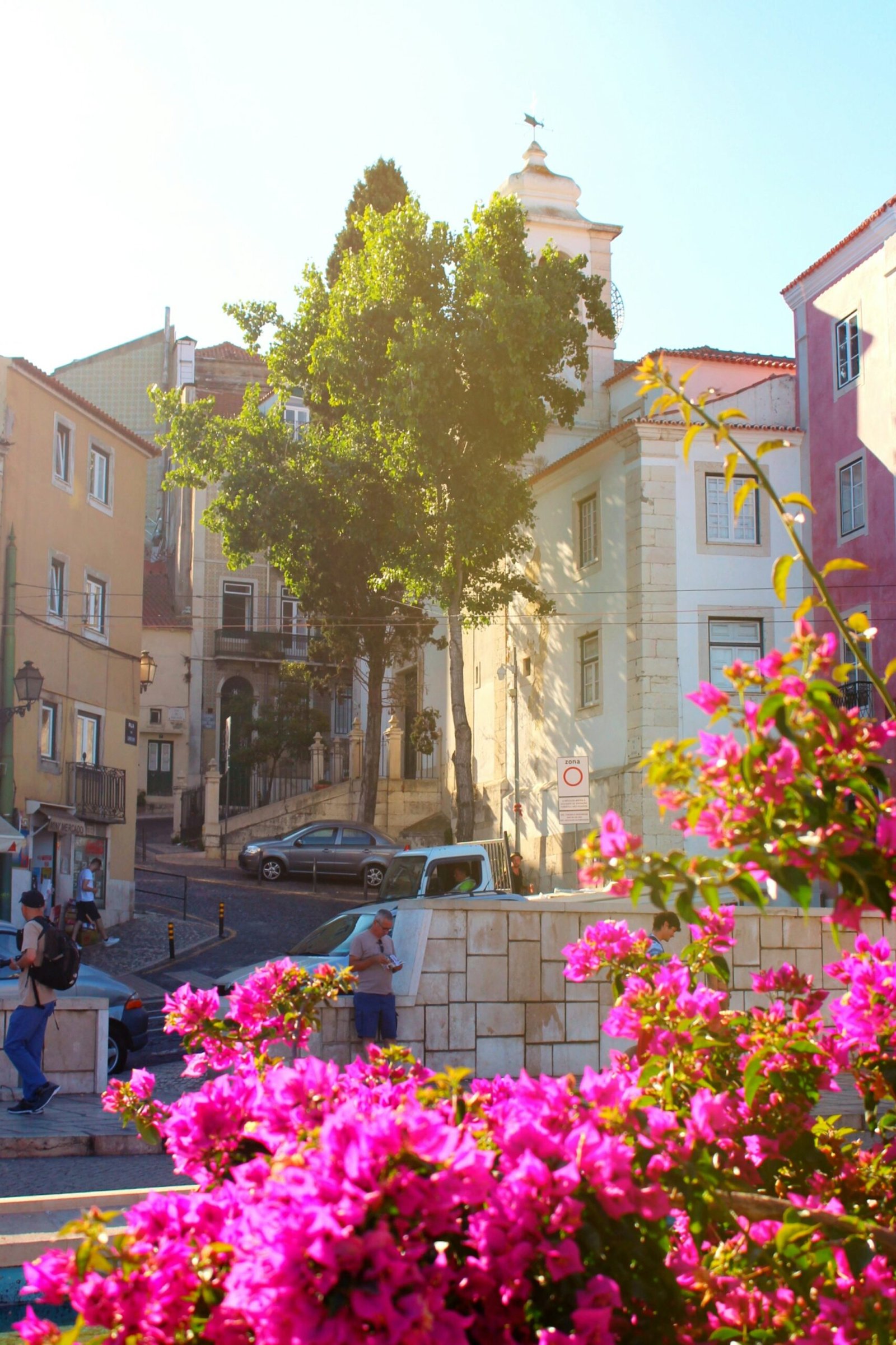 Vibrant pink bougainvillea flowers in the foreground of a sunlit Lisbon street in Portugal, featuring traditional pastel buildings and a historic church under a clear spring sky.