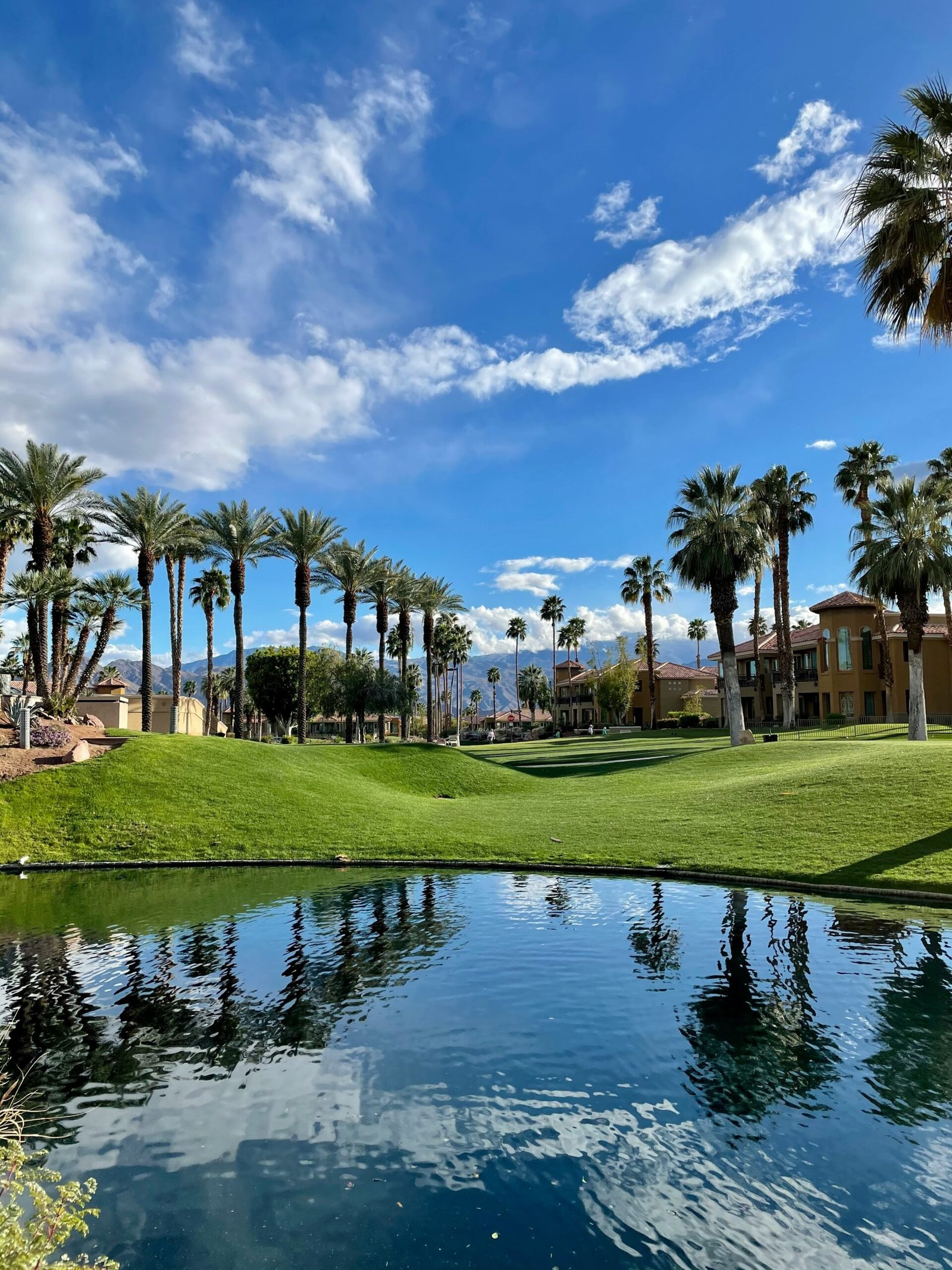 Palm Springs resort setting with water and palms for a restorative detox retreat that supports energy and calm