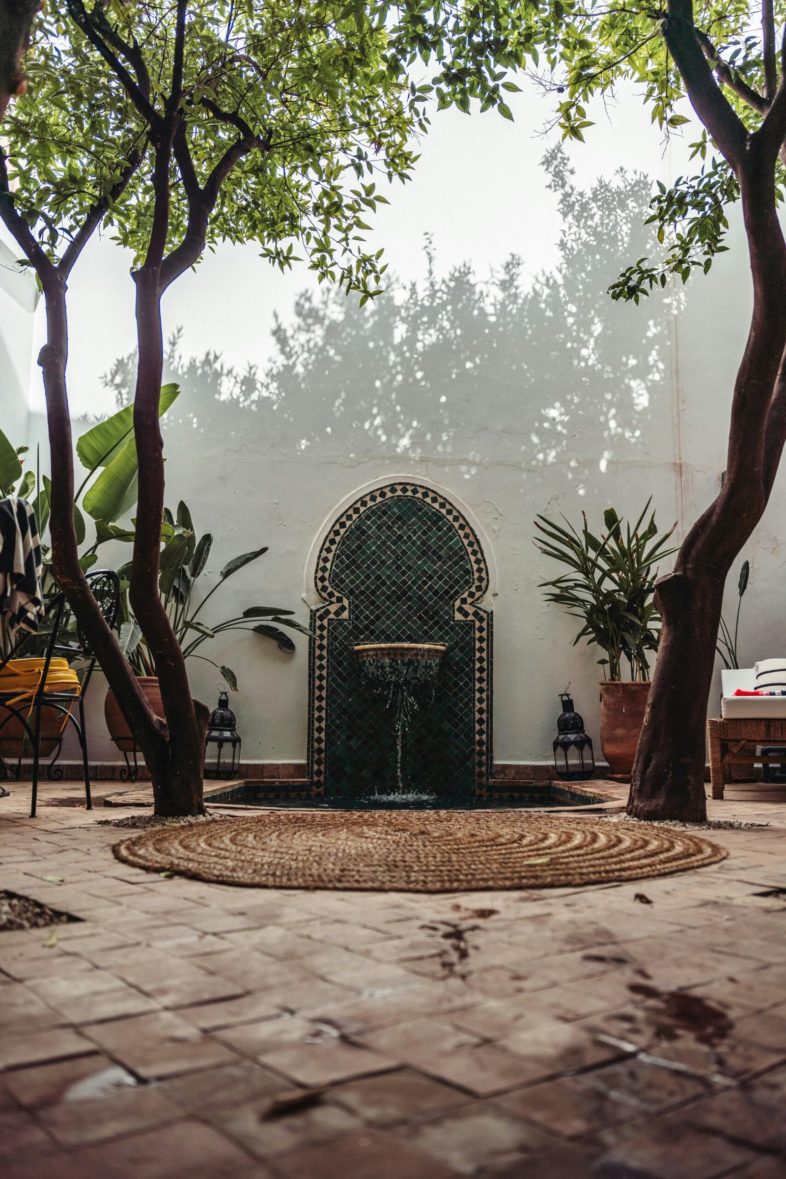 marrakesh garden with fountain and palms at the start of spring in morocco