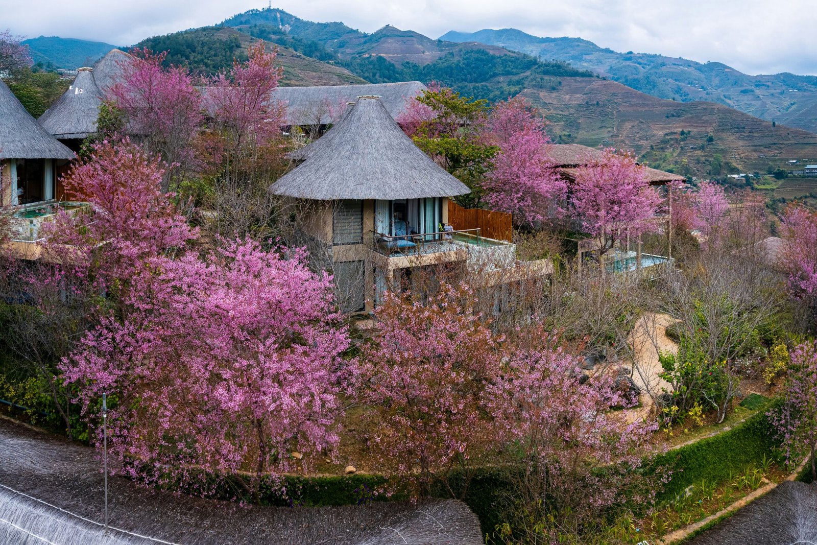 Blooming hillside retreat with flowering trees for a spring detox escape rooted in nature and calm