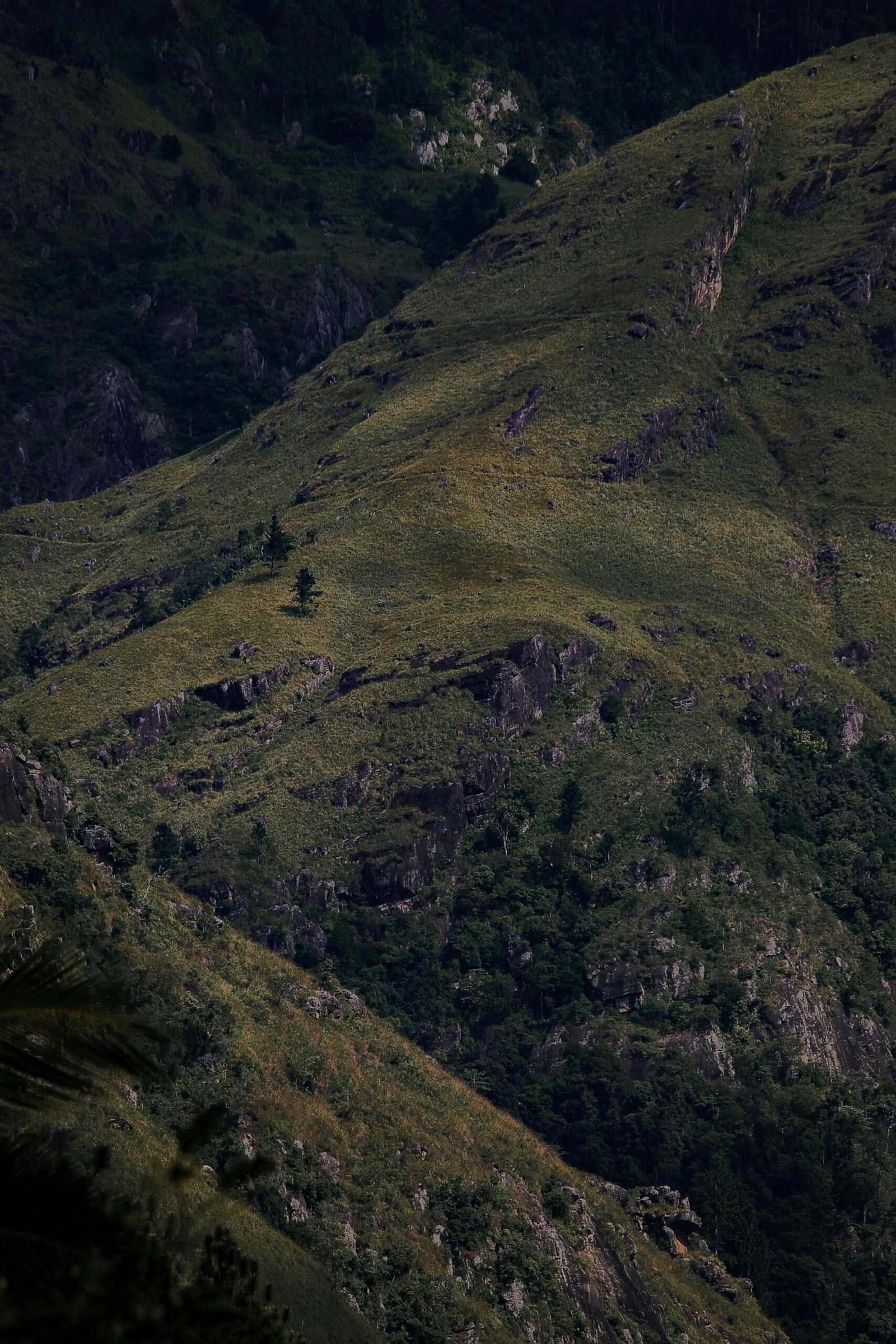 Subtropical mountain landscape in Sri Lanka reflecting the open, renewing feel of a spring wellness retreat.