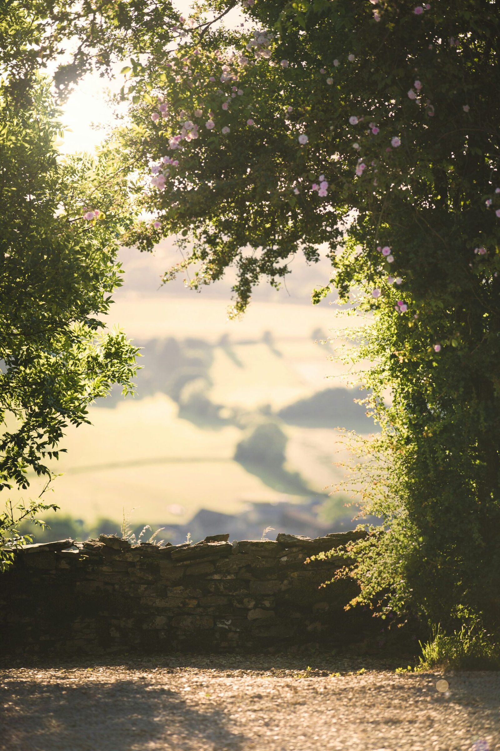 Stone wall outlook across the Cotswold countryside with soft rural light and open fields.