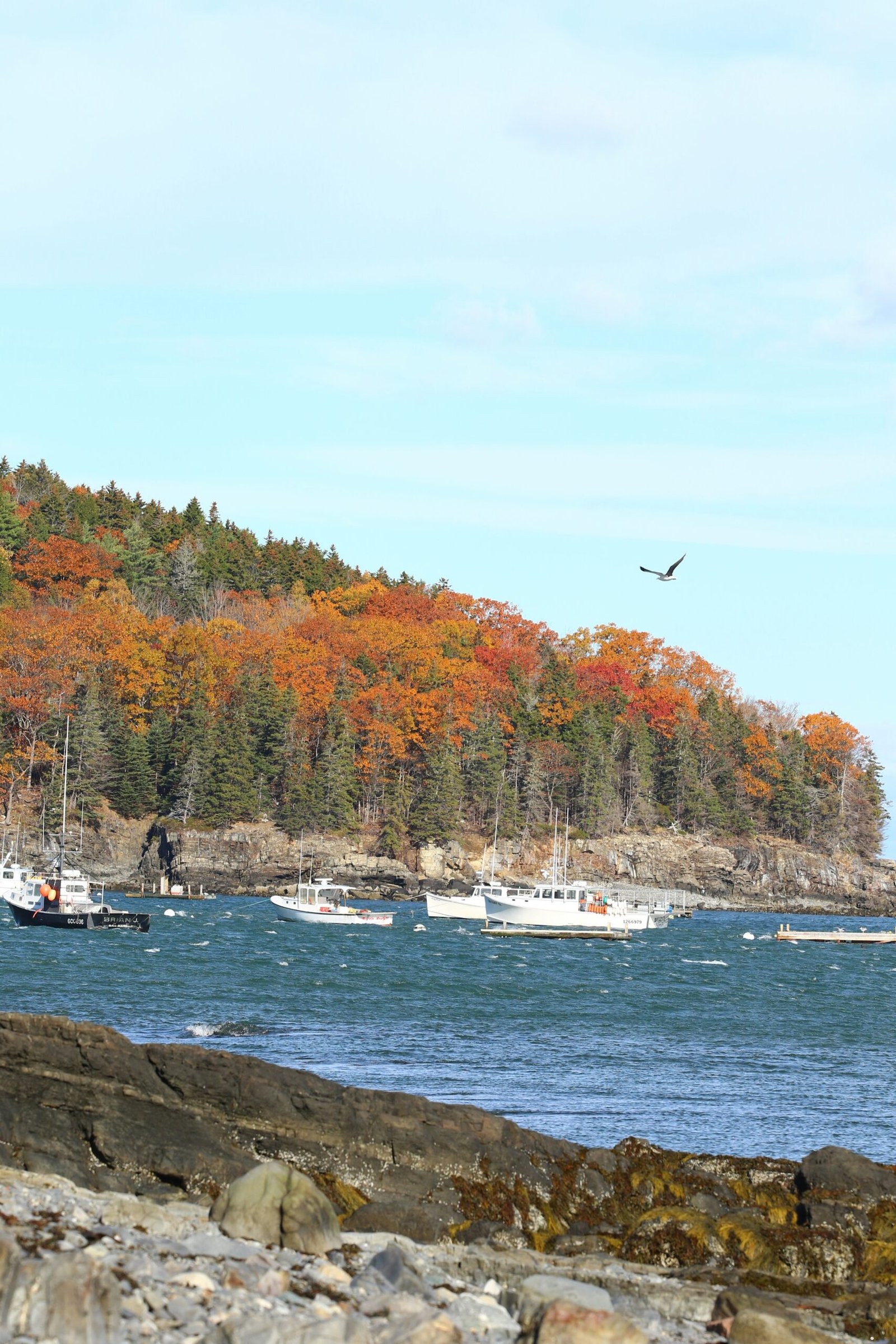 Coastal harbor framed by autumn foliage for a peaceful retreat setting shaped by fresh air and reflection
