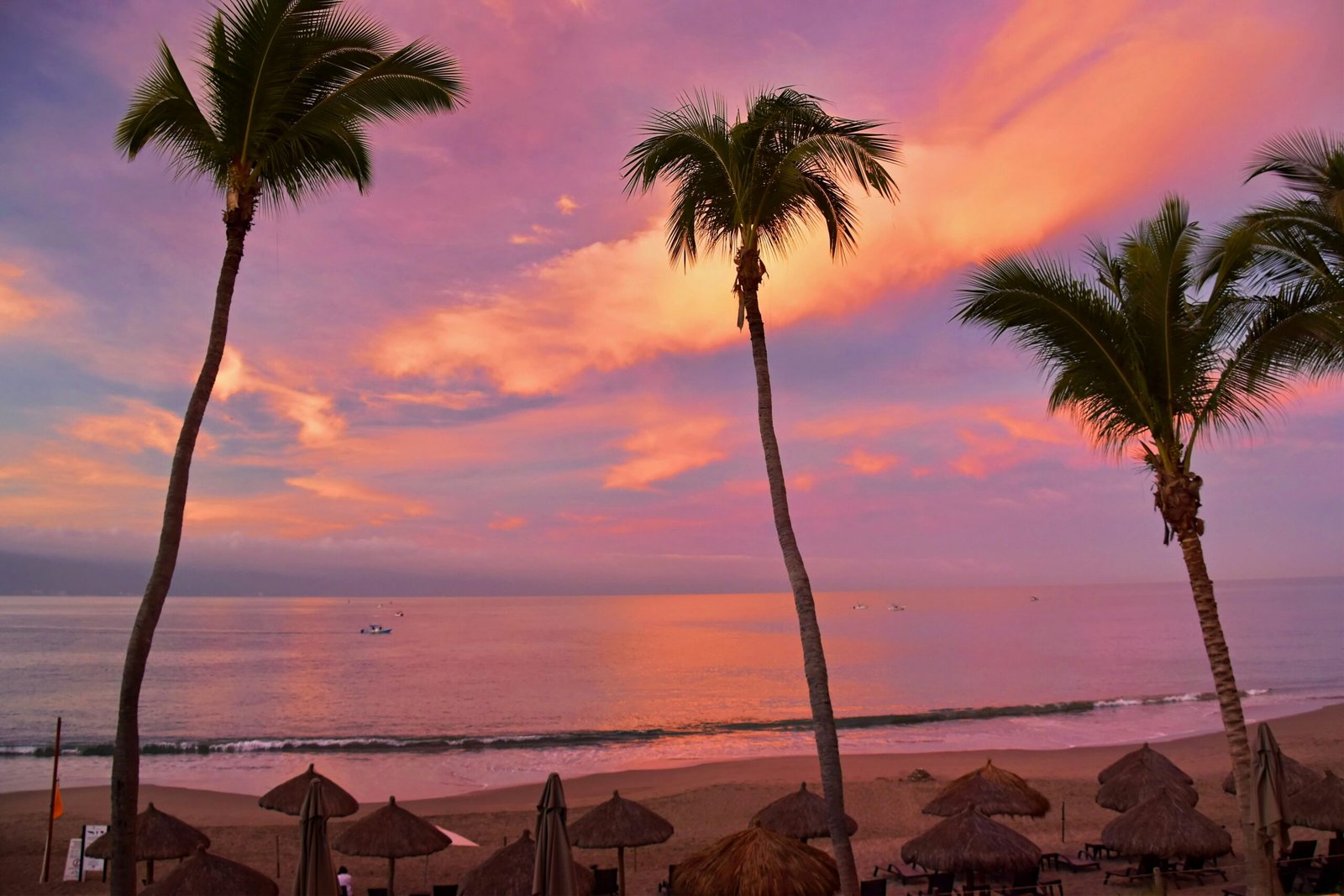 Palm trees on the beach at sunset in Puerto Vallarta, Jalisco, Mexico, with warm light and a relaxed autumn retreat feel.