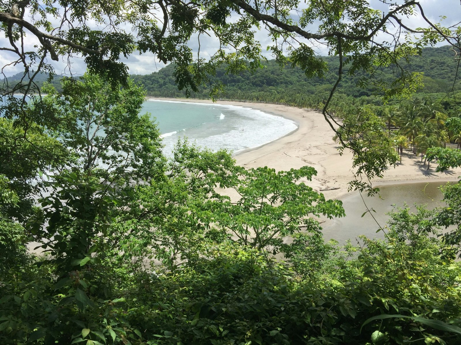 View through coastal trees toward the shoreline south of Sámara on Costa Rica’s Nicoya Peninsula