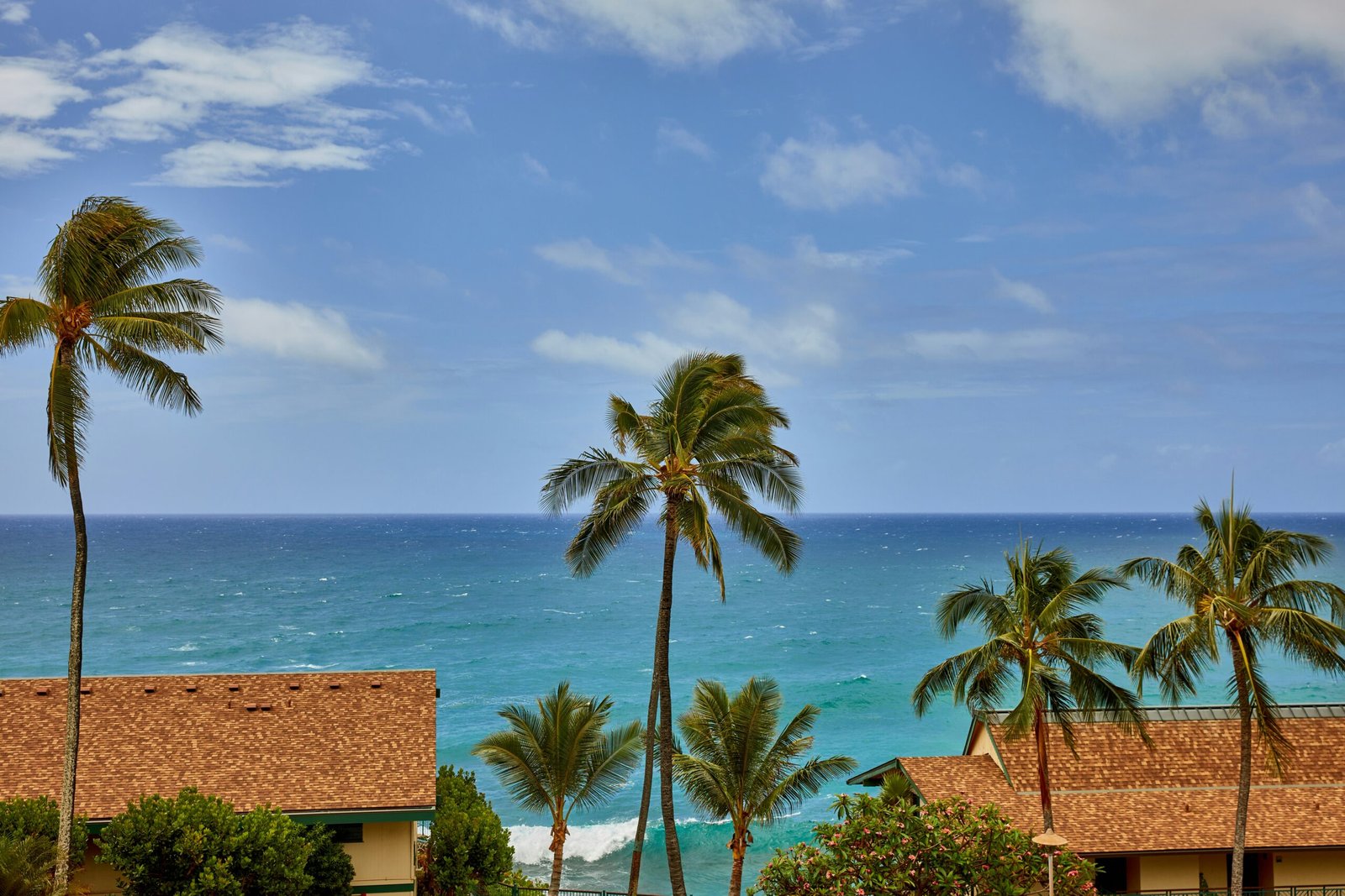 Palm trees framing a bright ocean view and open sky in a tropical coastal scene.