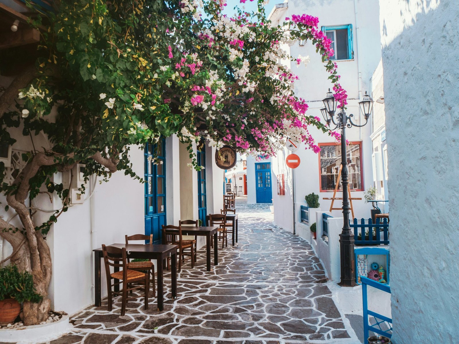 Pink blossoms beside whitewashed homes in Plaka, Milos, bringing a soft spring feel to a quiet Greek retreat stay.