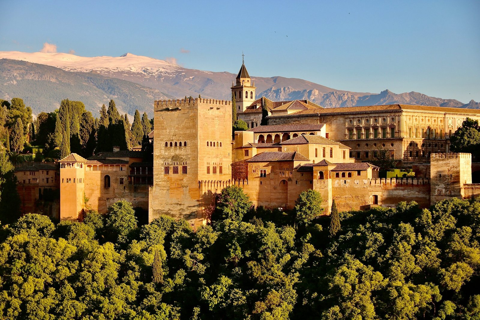 The Alhambra in Granada, Spain, rising above green trees in warm daylight.