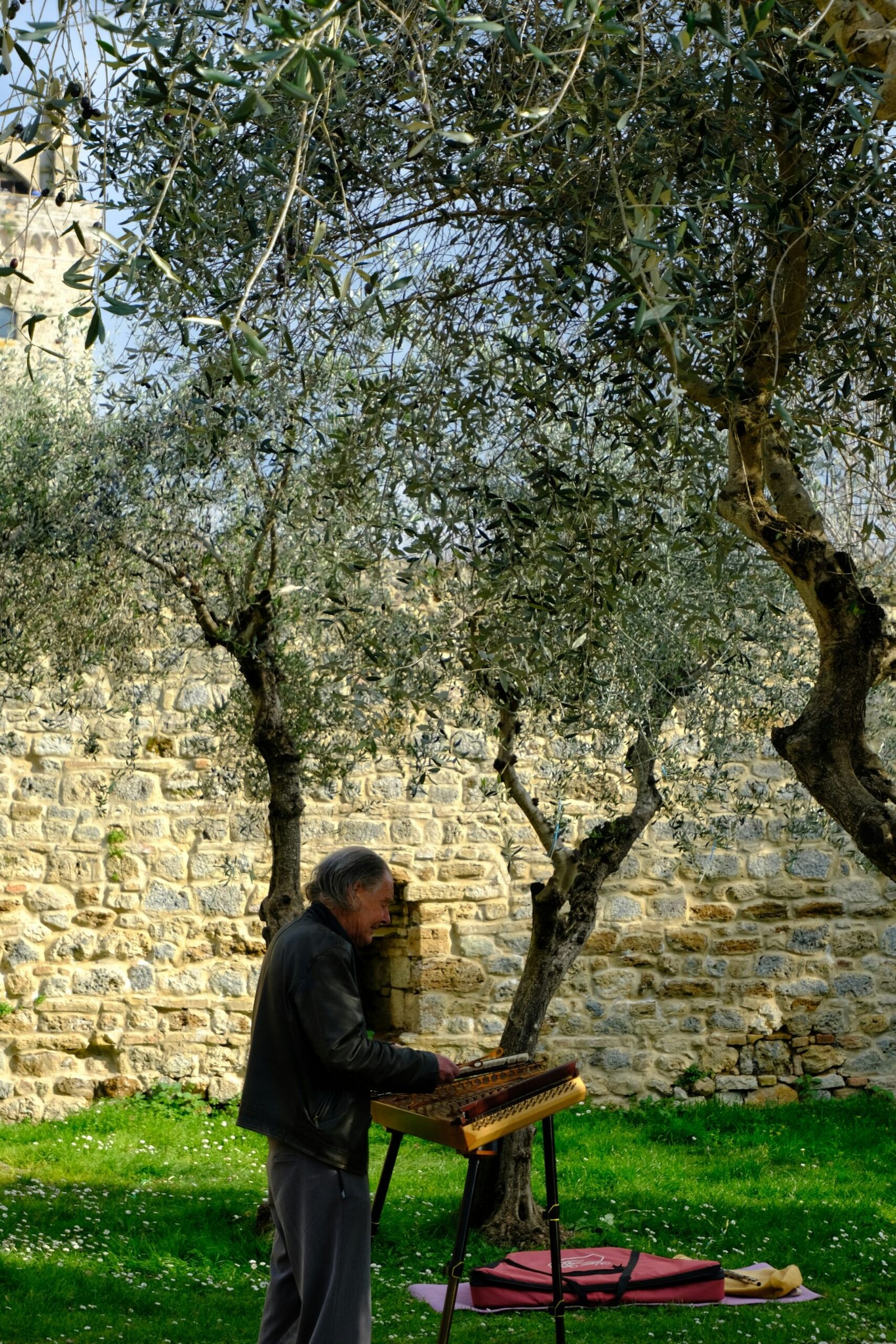A man playing a traditional musical instrument under olive trees in a Mediterranean garden, representing the connection between culture, nature, and the art of slow nourishment.