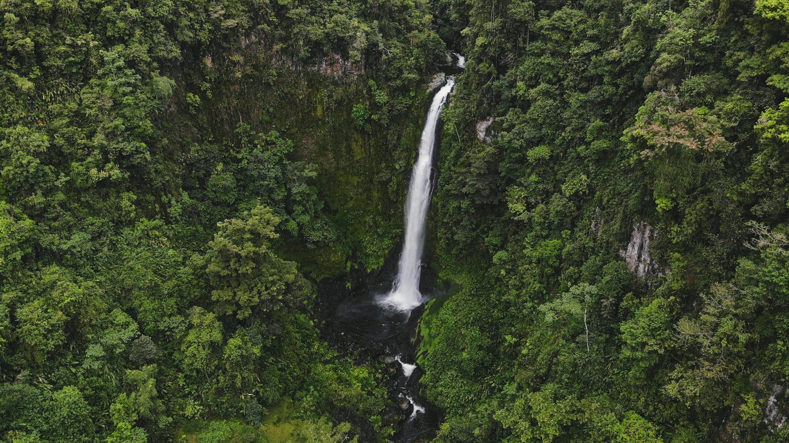 Rainforest waterfall in the Turrialba area of Cartago Province, Costa Rica.