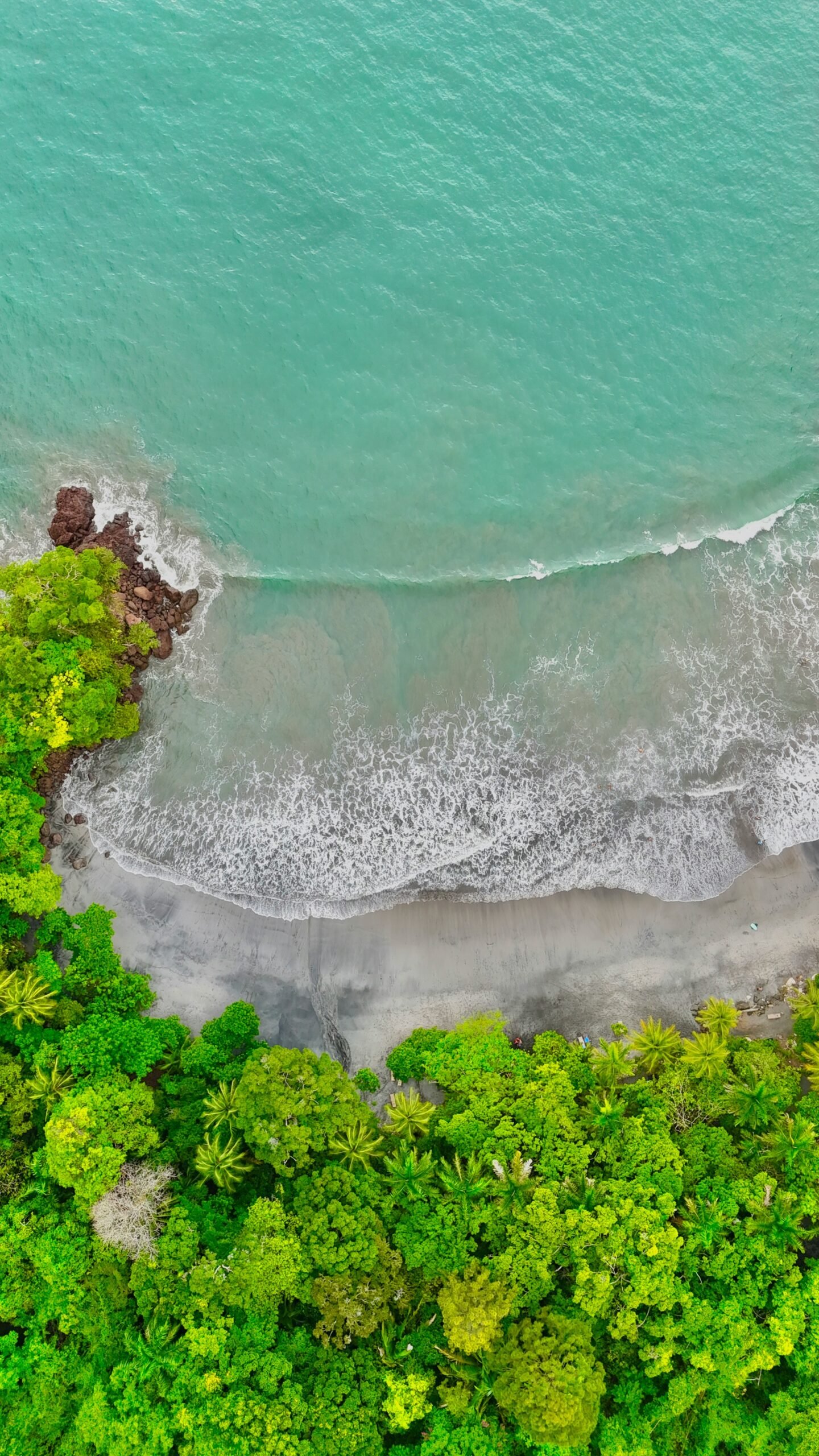 Aerial view of Manuel Antonio beach bordered by tropical forest in Costa Rica