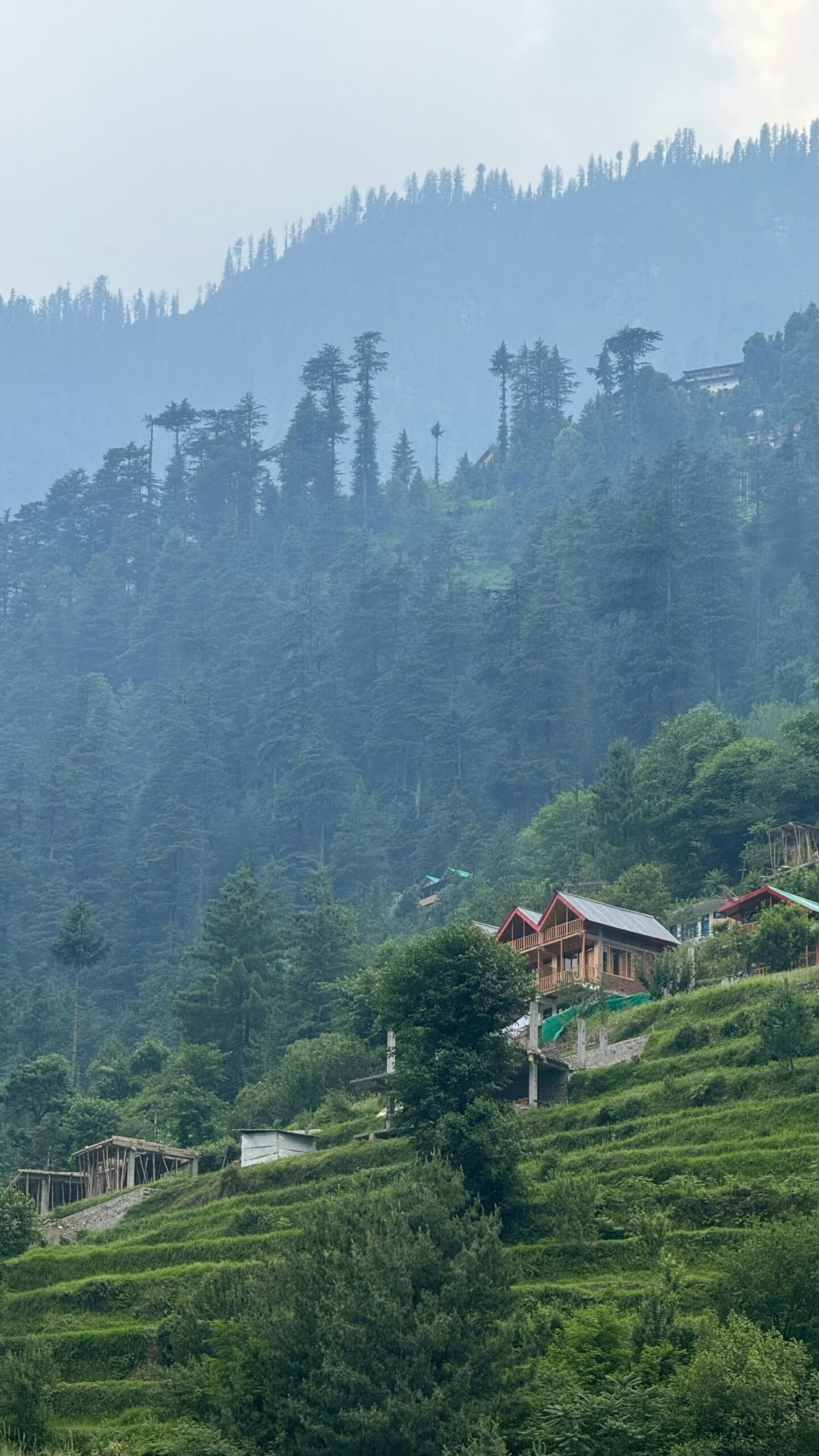 Wooden hillside homes in Jibhi surrounded by pine trees, offering a peaceful mountain setting that suits a restorative retreat in India.