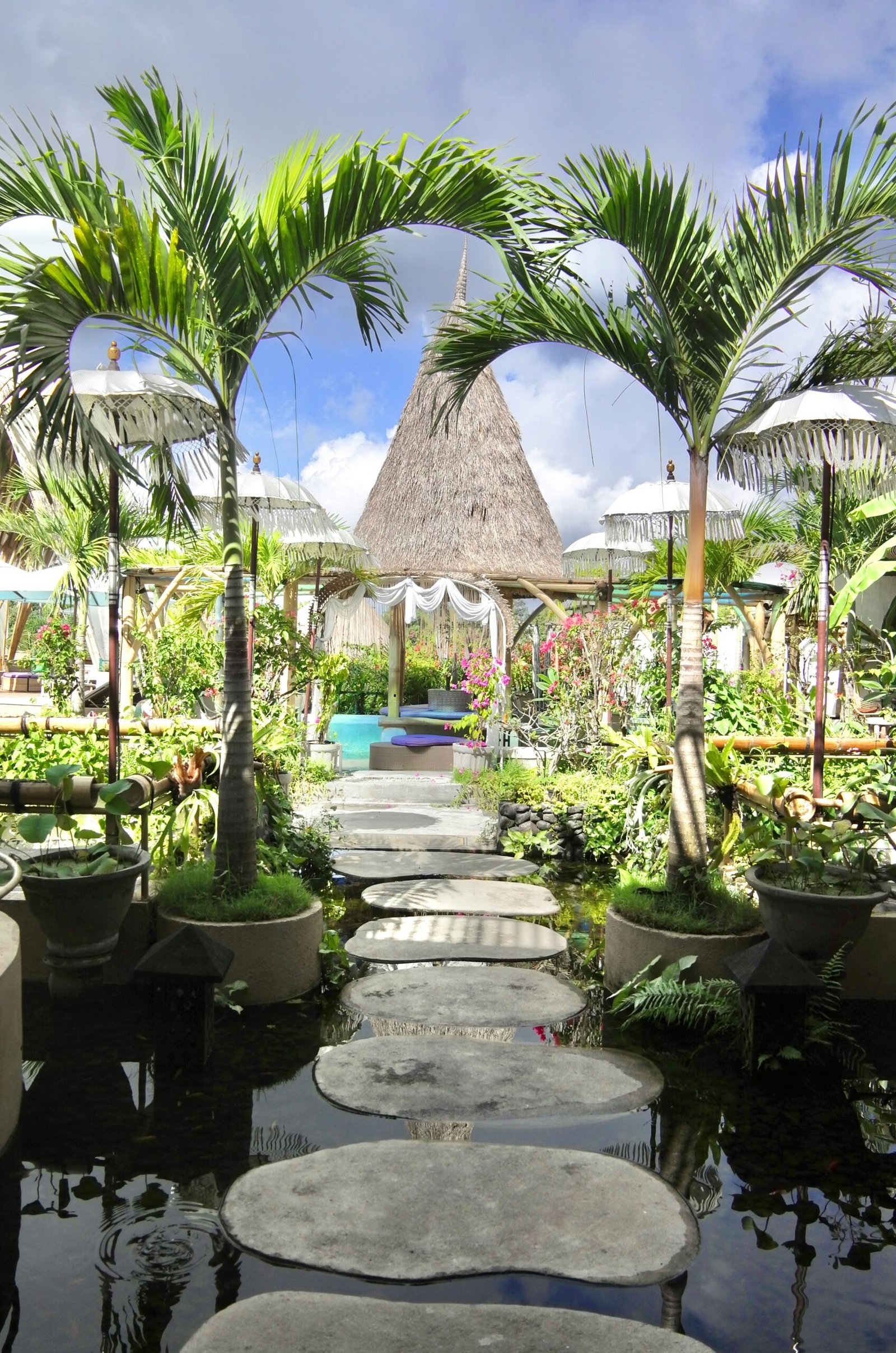 Tropical wellness retreat garden with serene pool surrounded by lush palm trees