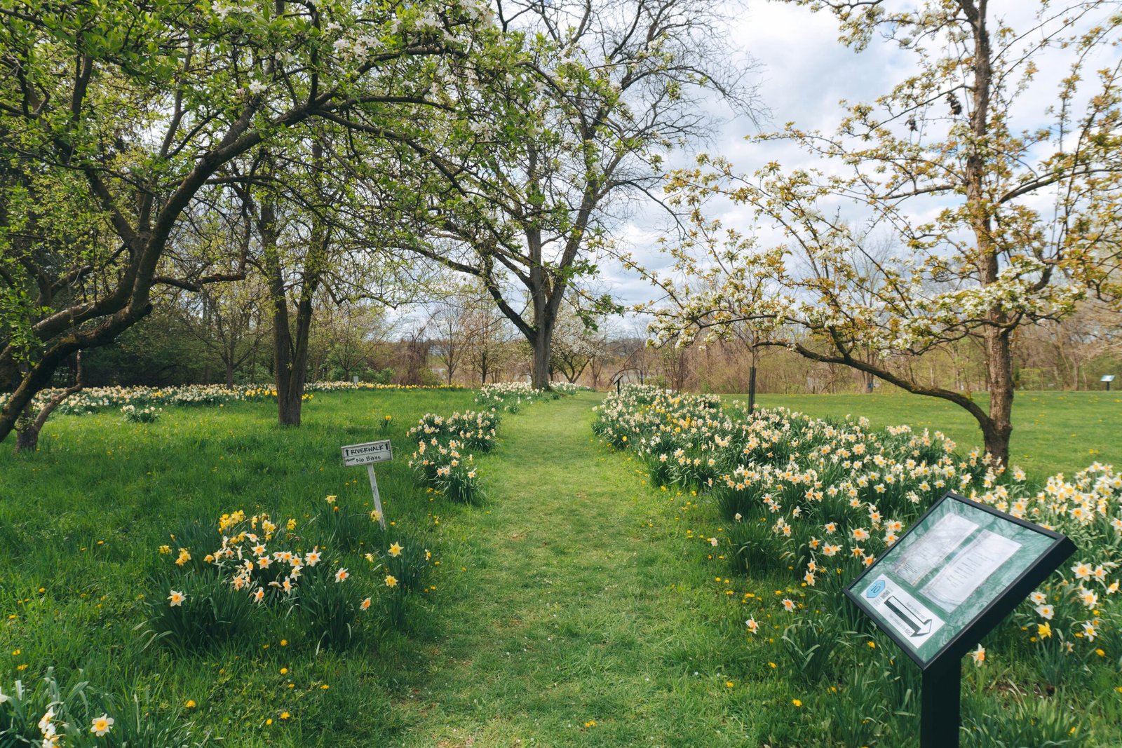 Blooming garden path for a calm spring retreat wal