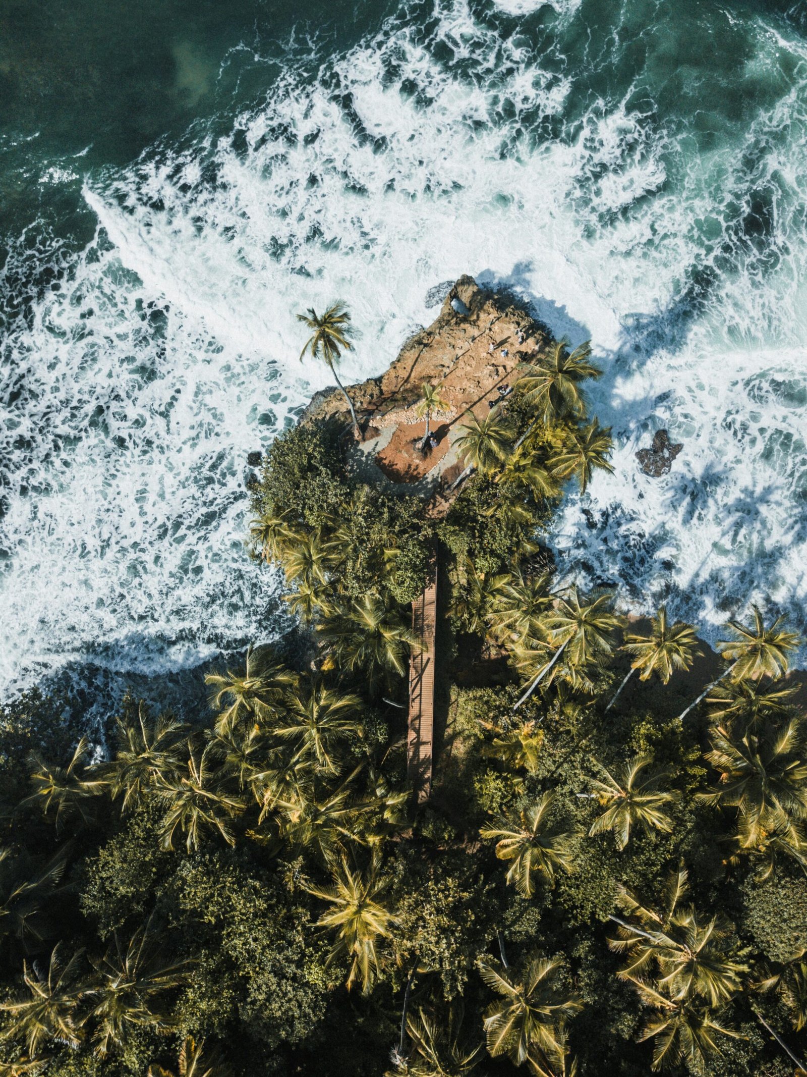 Aerial view of palm-lined beach and turquoise water in Manzanillo, Limón Province, Costa Rica.