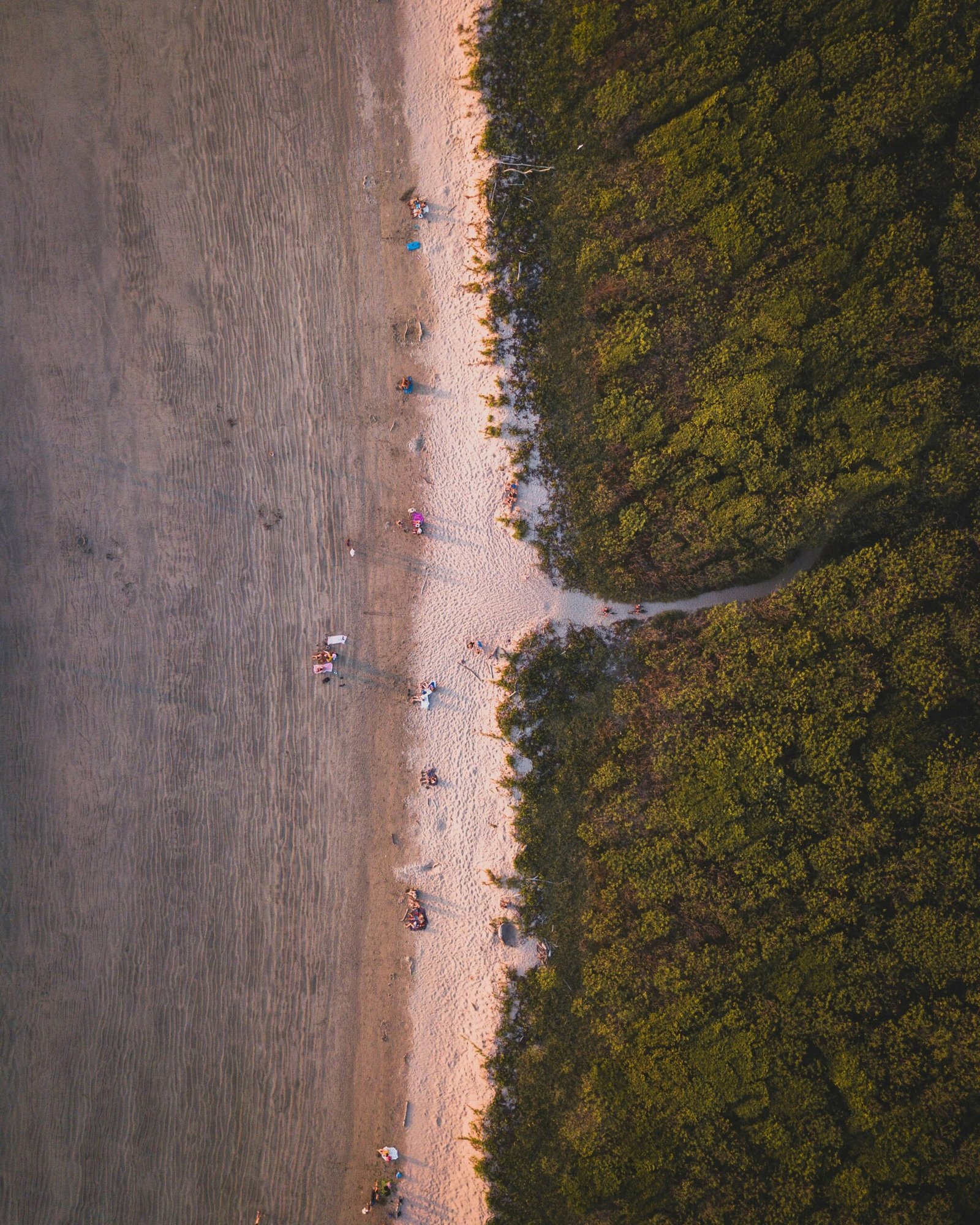 Golden-hour view of Playa Grande on the Pacific coast of Guanacaste, Costa Rica.
