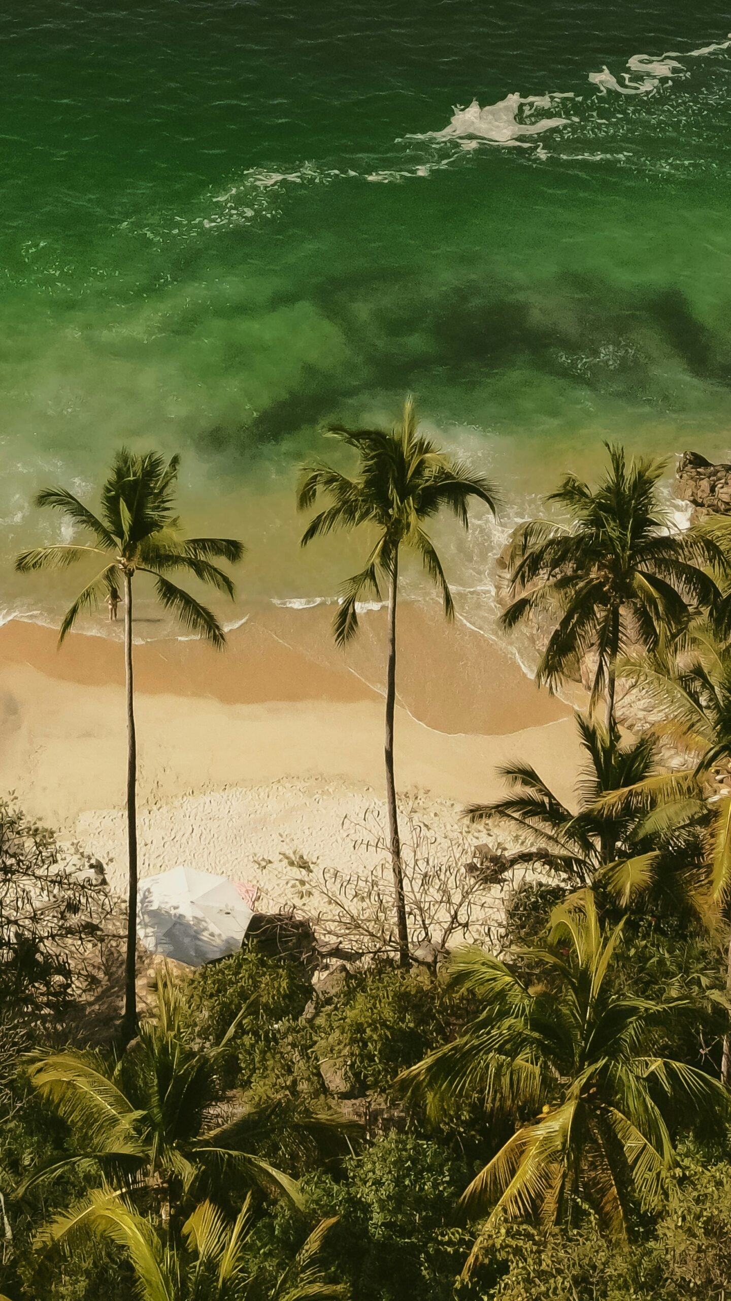 Palm-lined beach in Puerto Vallarta, Mexico, with ocean views and bright dry-season weather.