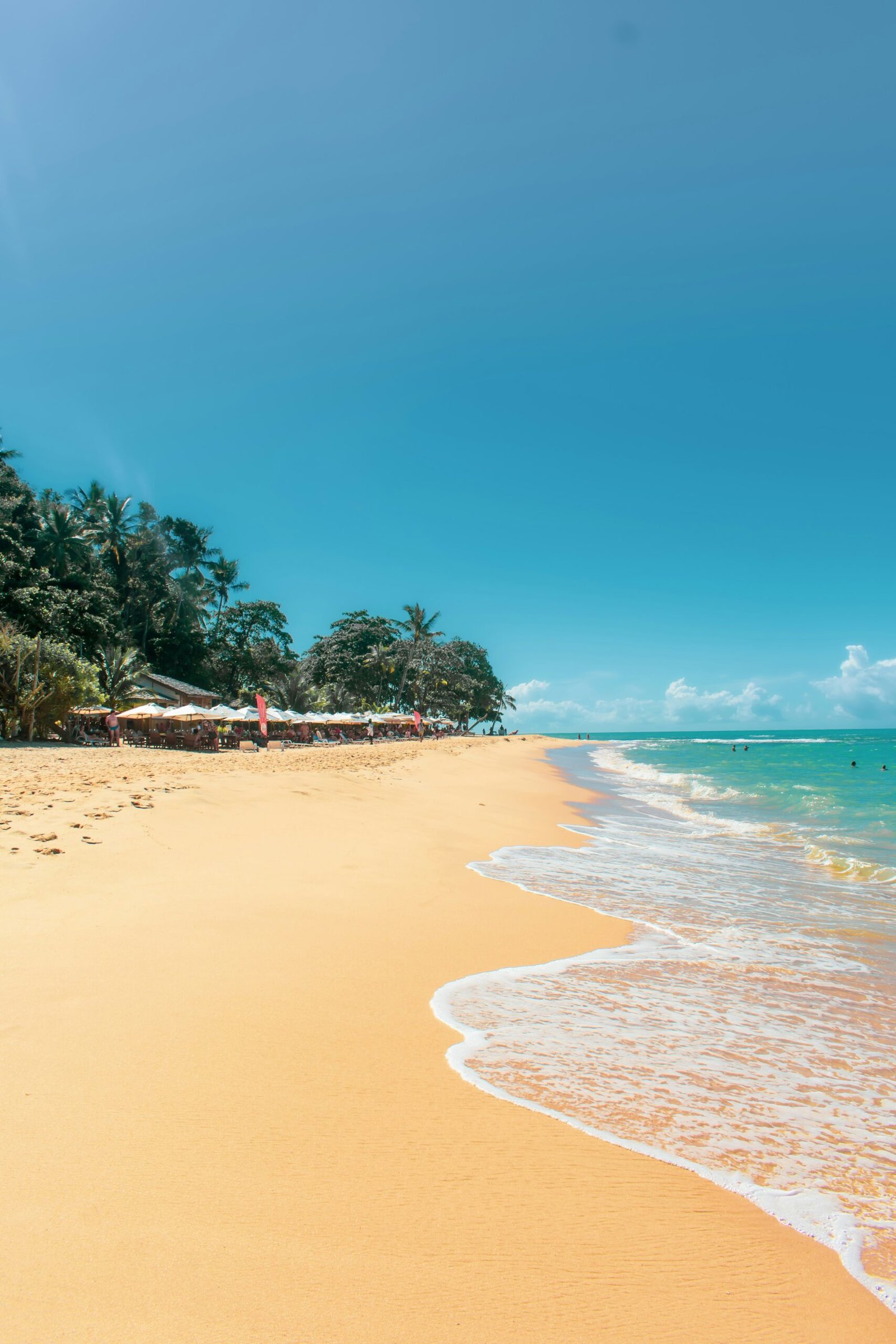 Palm-lined beach in Koh Samui with calm tropical water and retreat-friendly weather