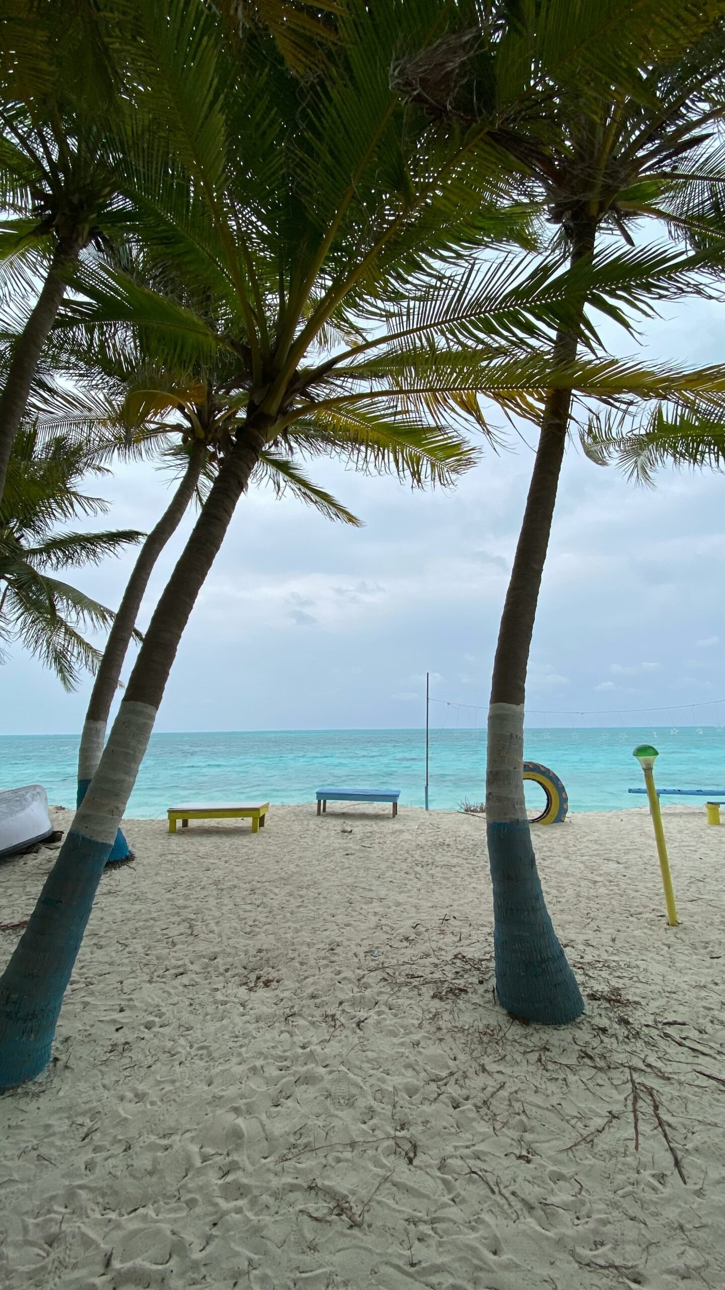 Quiet sandy beach with swaying palms near an India retreat, ideal for reflection, gentle walks, and seasonal healing