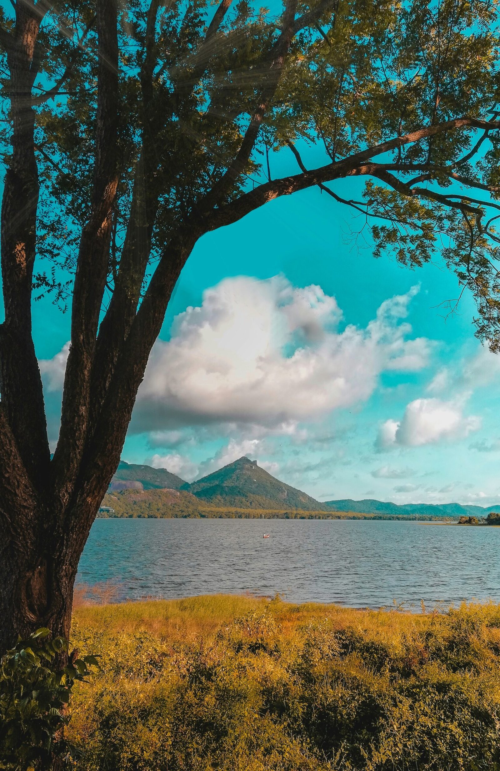 Tree-lined water view in Kandalama near Dambulla, Sri Lanka, suited to a quiet ayurveda retreat centered on reflection and balance.