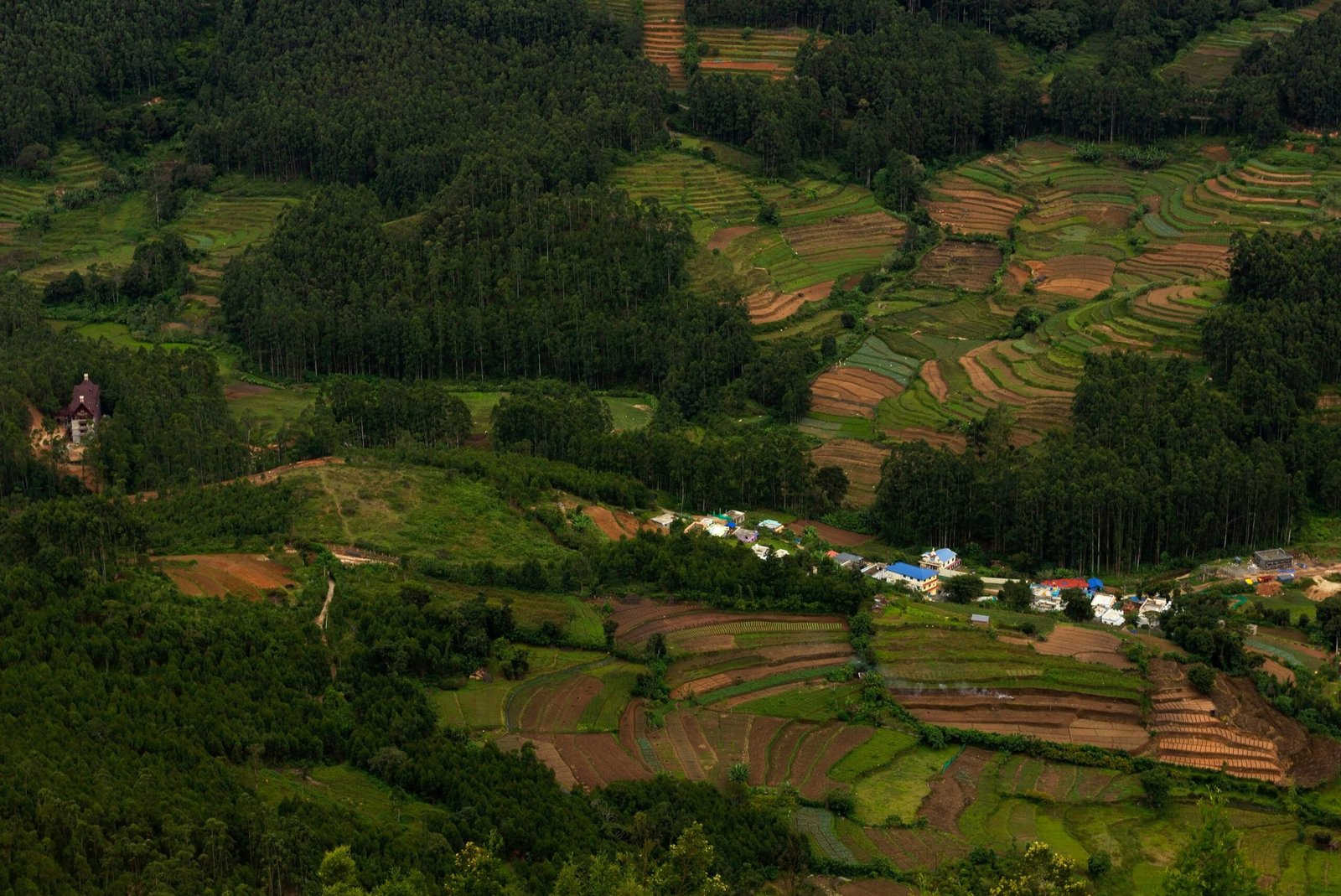 Terraced green hills in Munnar, Kerala, bringing a vibrant spring landscape to an Ayurveda retreat article about India.