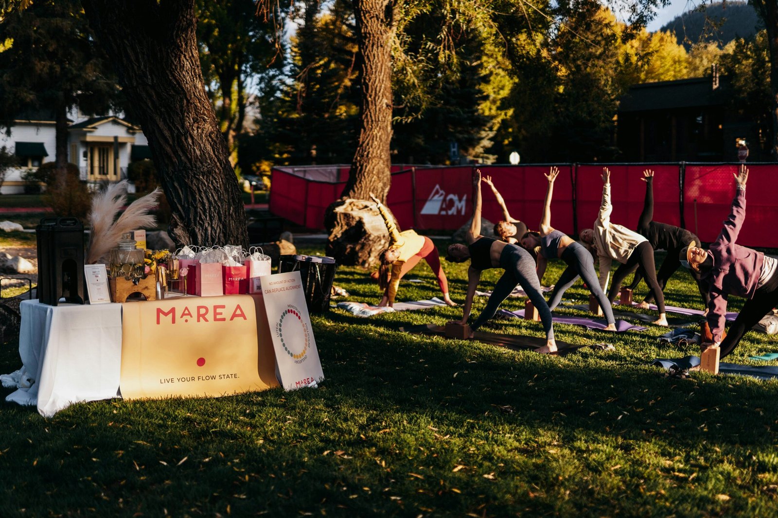 Outdoor yoga class on a grassy retreat lawn surrounded by trees