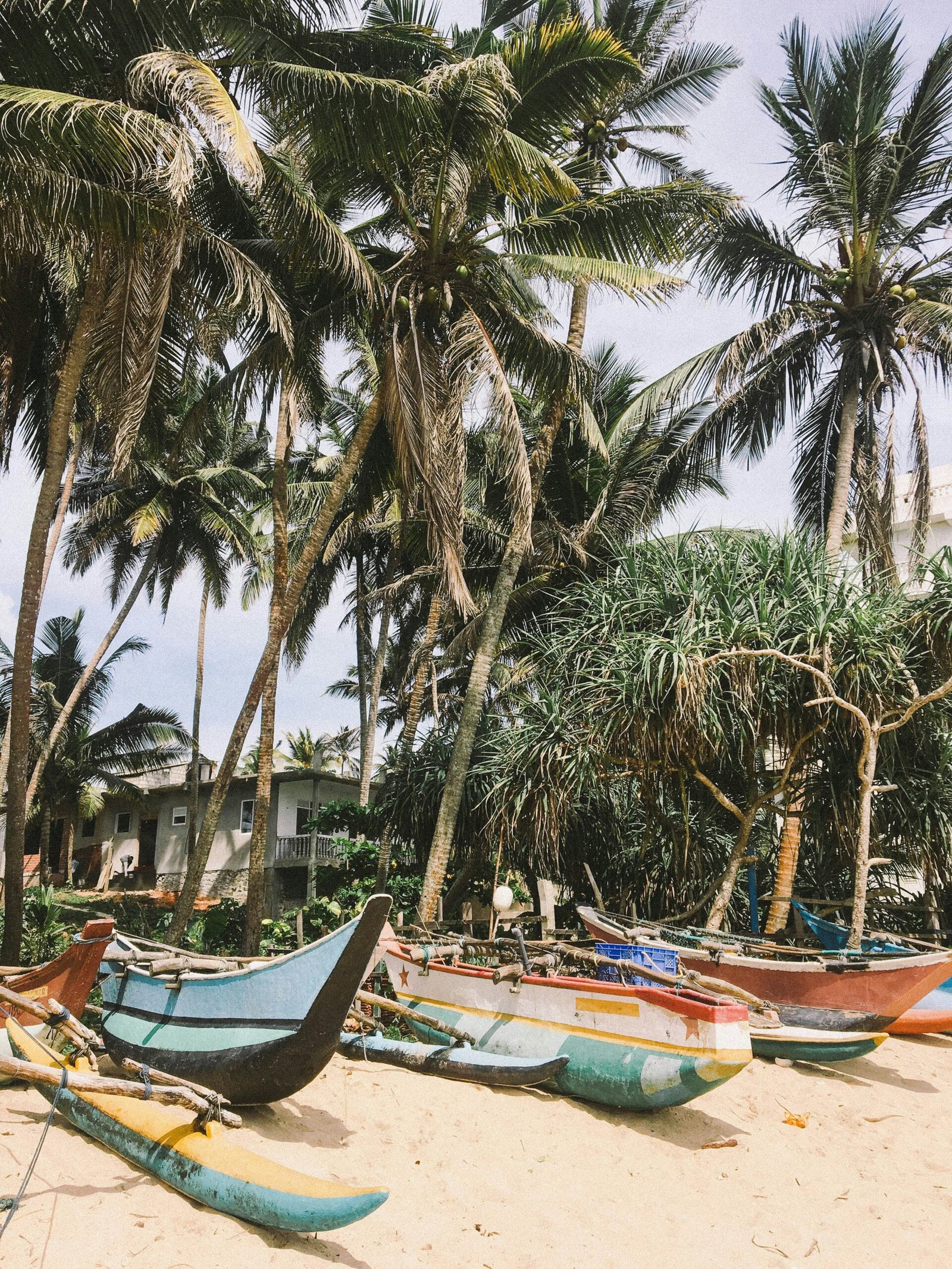 Fishing boats beneath coconut trees on Mirissa Beach, Sri Lanka, capturing the laid-back coastal mood of a healing retreat escape.