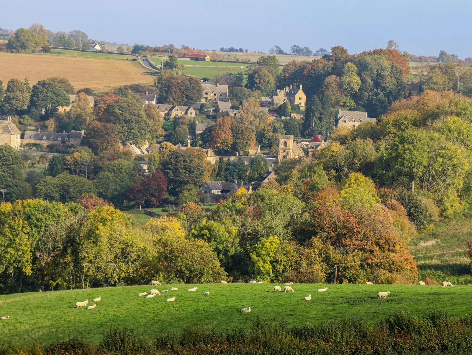 Sheep grazing above a Cotswolds village in autumn, evoking grounded calm and a slower seasonal rhythm.