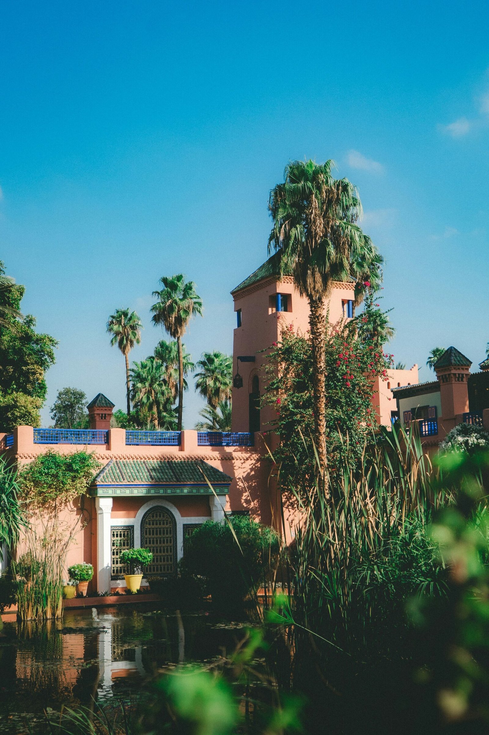 lush marrakech garden with fountain and palms in full spring bloom