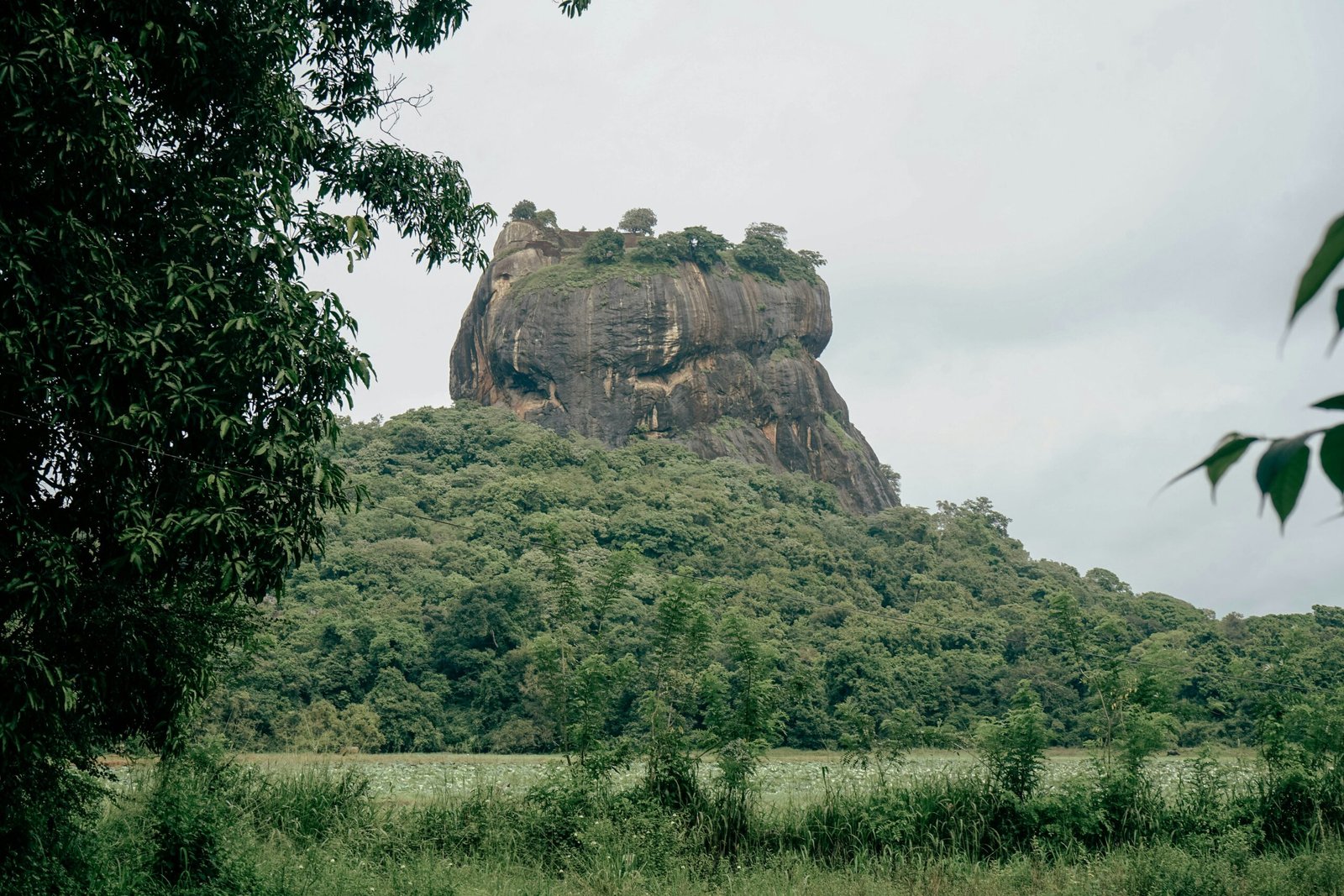 Sigiriya Rock rising above forest in Sri Lanka, adding a cultural and scenic backdrop to a retreat journey.