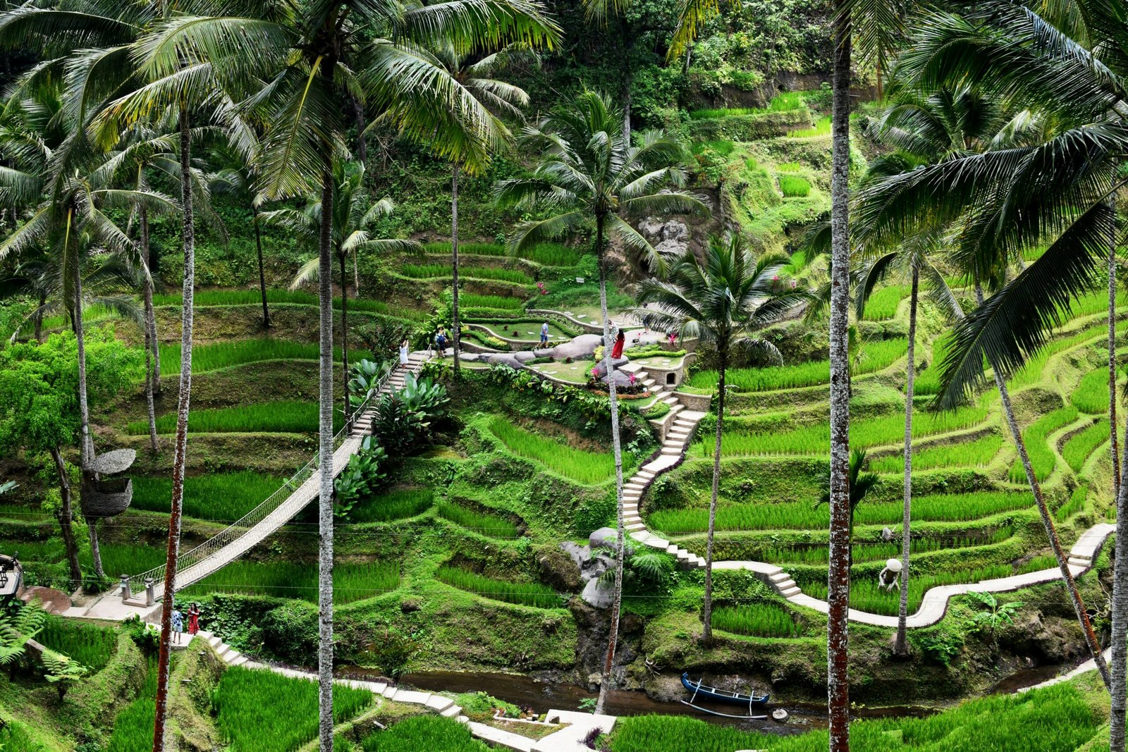 layered emerald terraces outside ubud under soft morning haze
