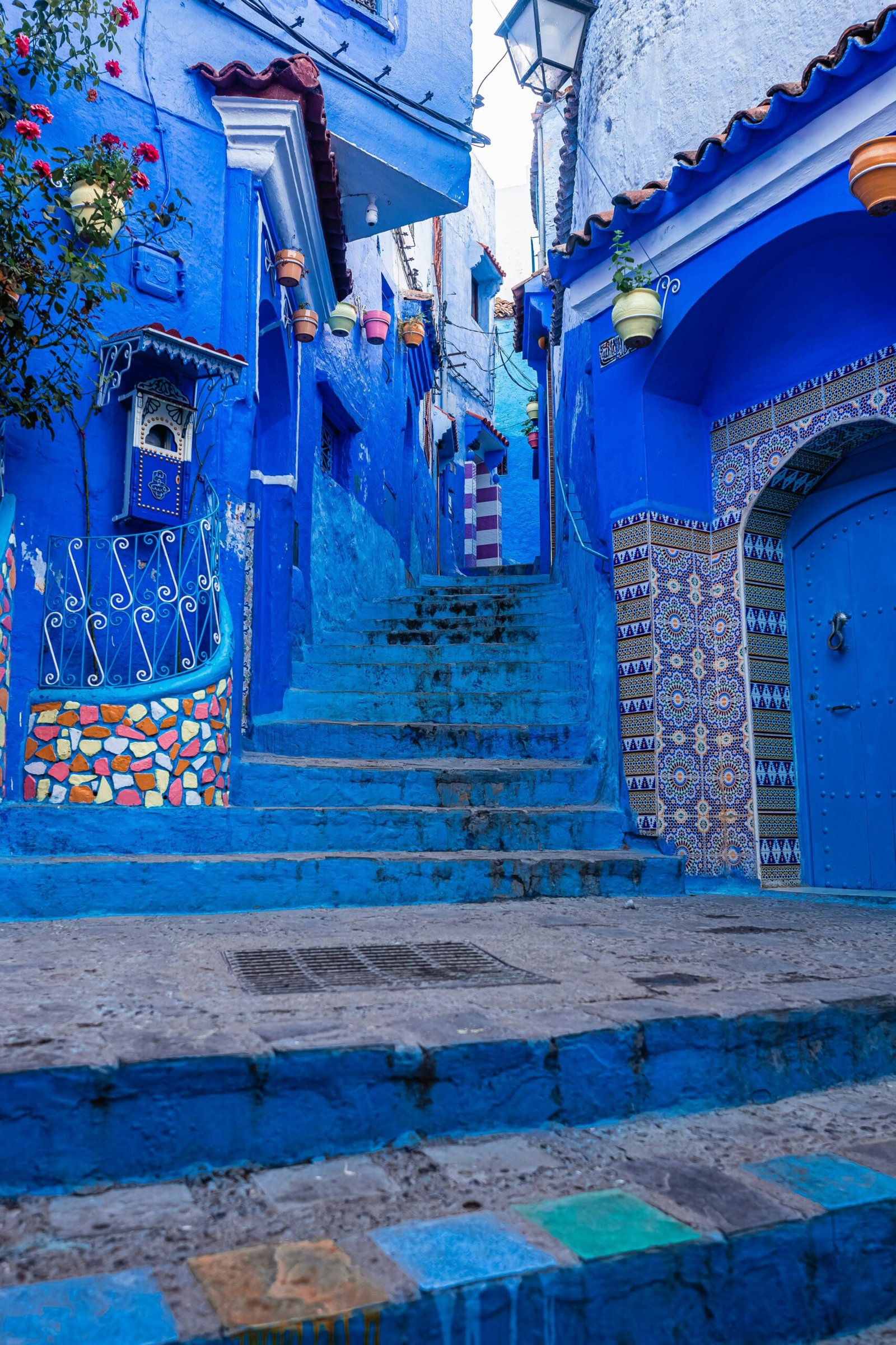 blue alley in chefchaouen morocco with potted plants and a calm atmosphere