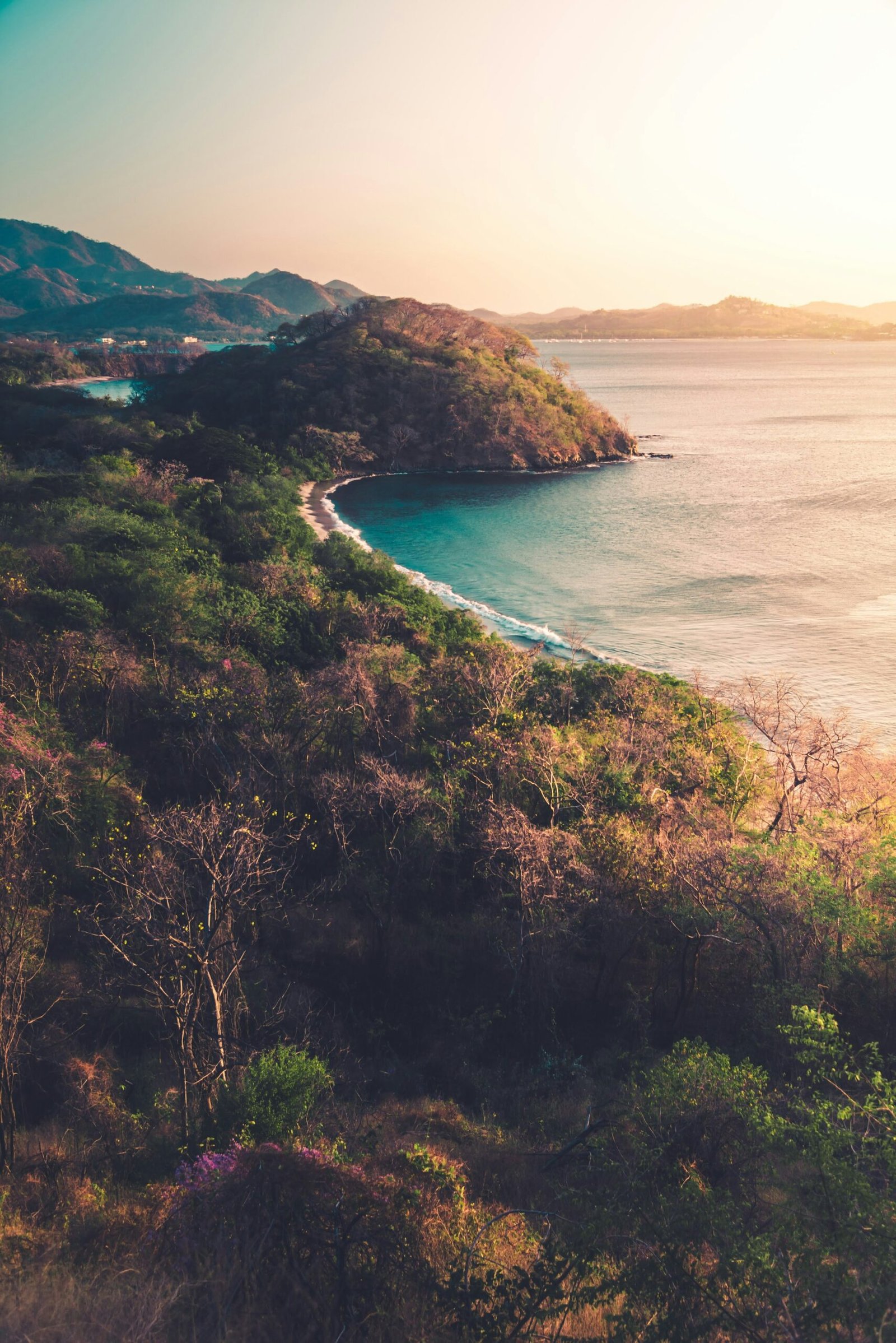Coastal hillside in Costa Rica with dense green trees, sunlit brown cliffs, and blue ocean stretching into the distance.