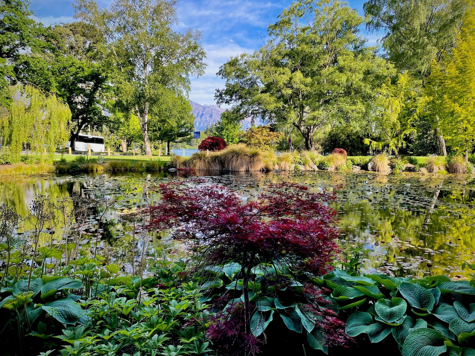 Lush summer garden with tranquil water and greenery ideal for mindful retreat days and quiet reflection
